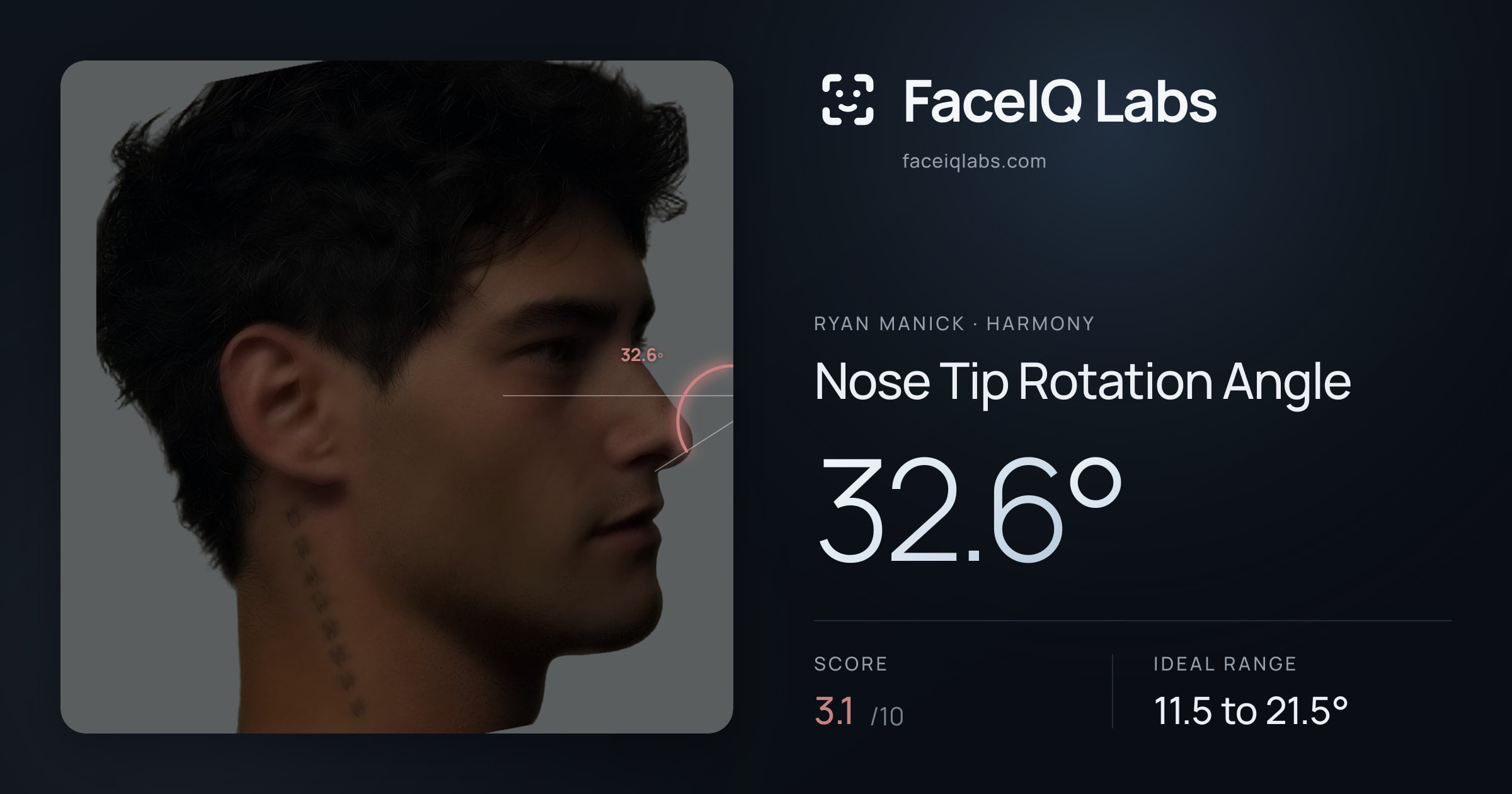 Ryan Manick Nose Tip Rotation Angle: 32.6°, drawn on the photo