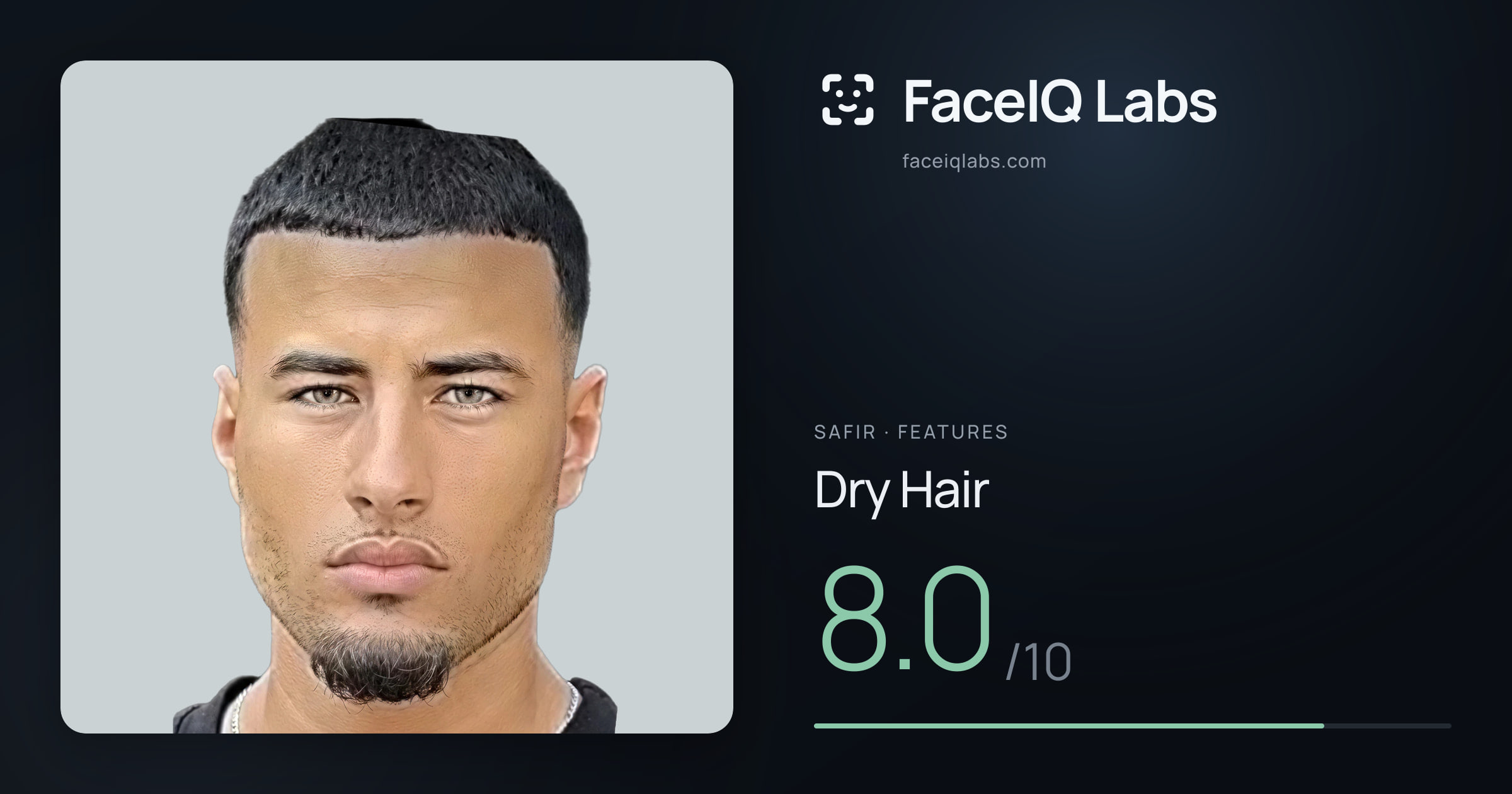 Safir Dry Hair: 8.0/10, drawn on the photo