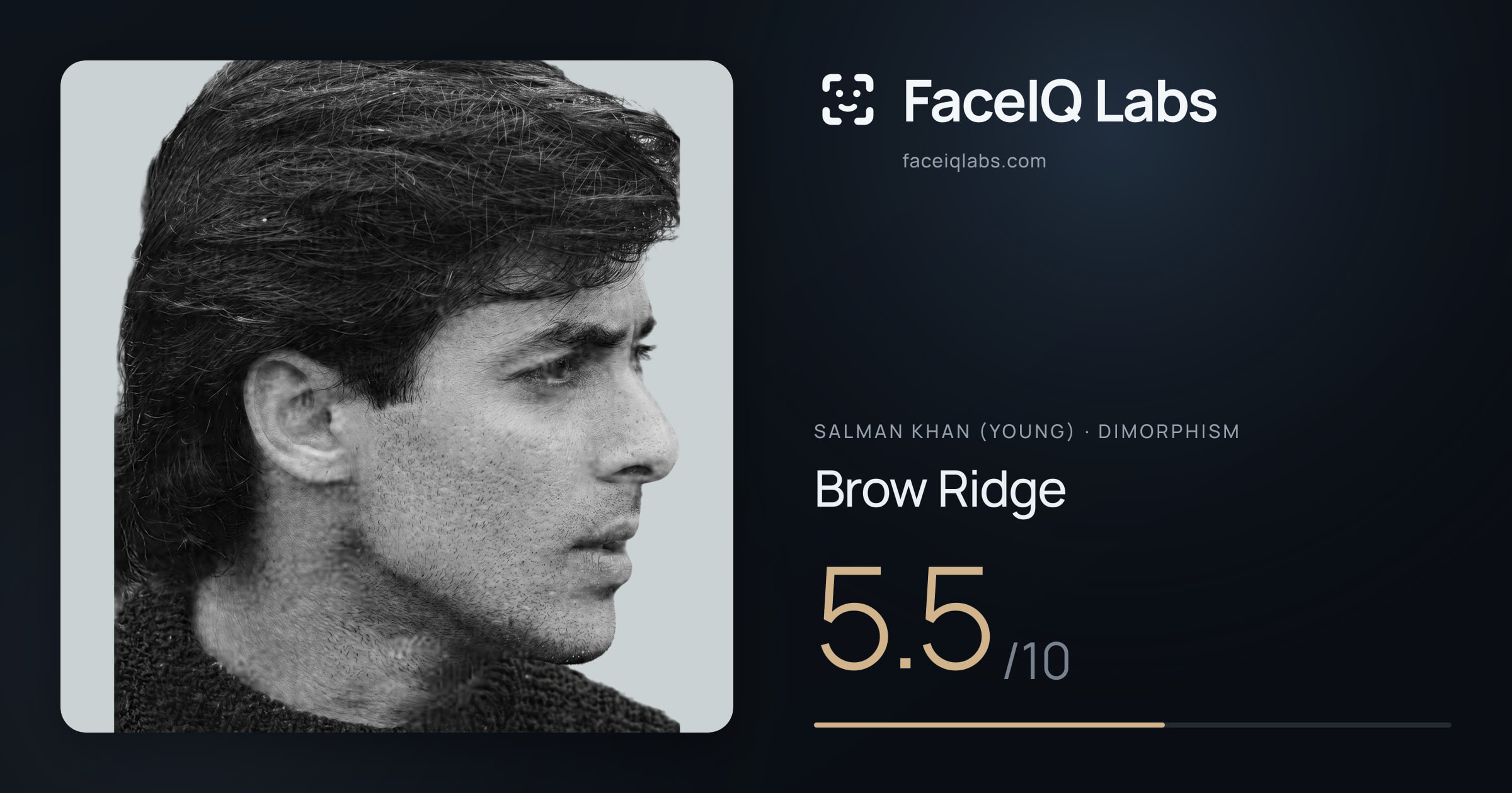 Salman Khan (Young) Brow Ridge: 5.5/10, drawn on the photo
