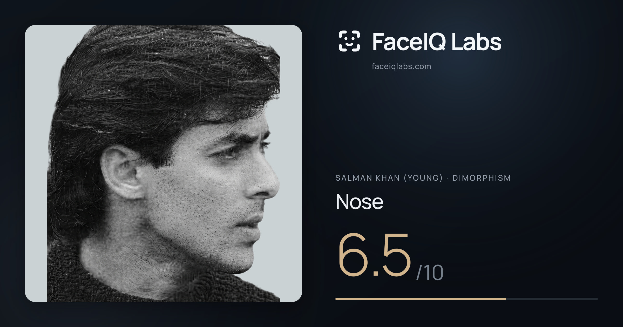 Salman Khan (Young) Nose: 6.5/10, drawn on the photo