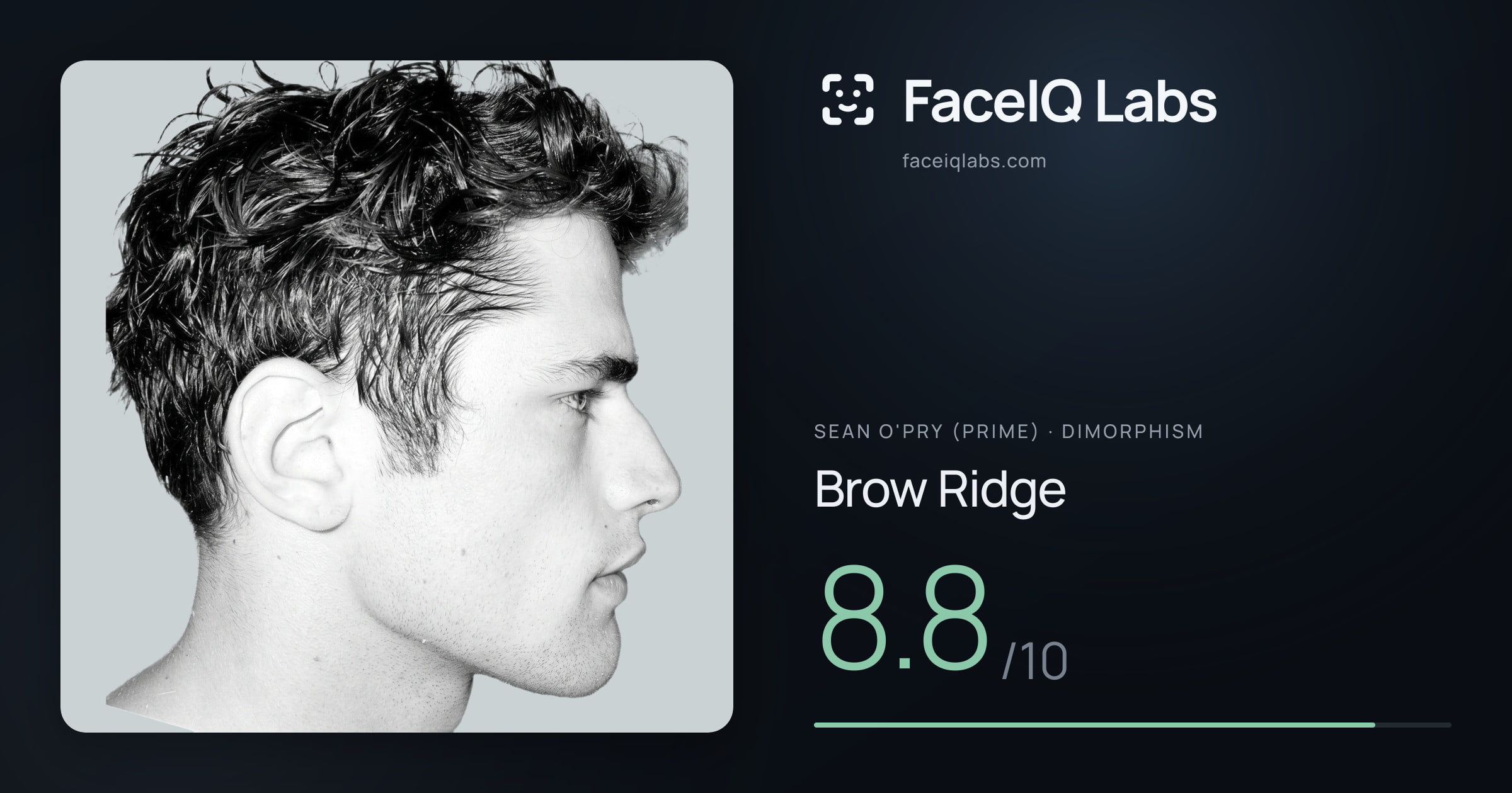 Sean O'Pry (Prime) Brow Ridge: 8.8/10, drawn on the photo