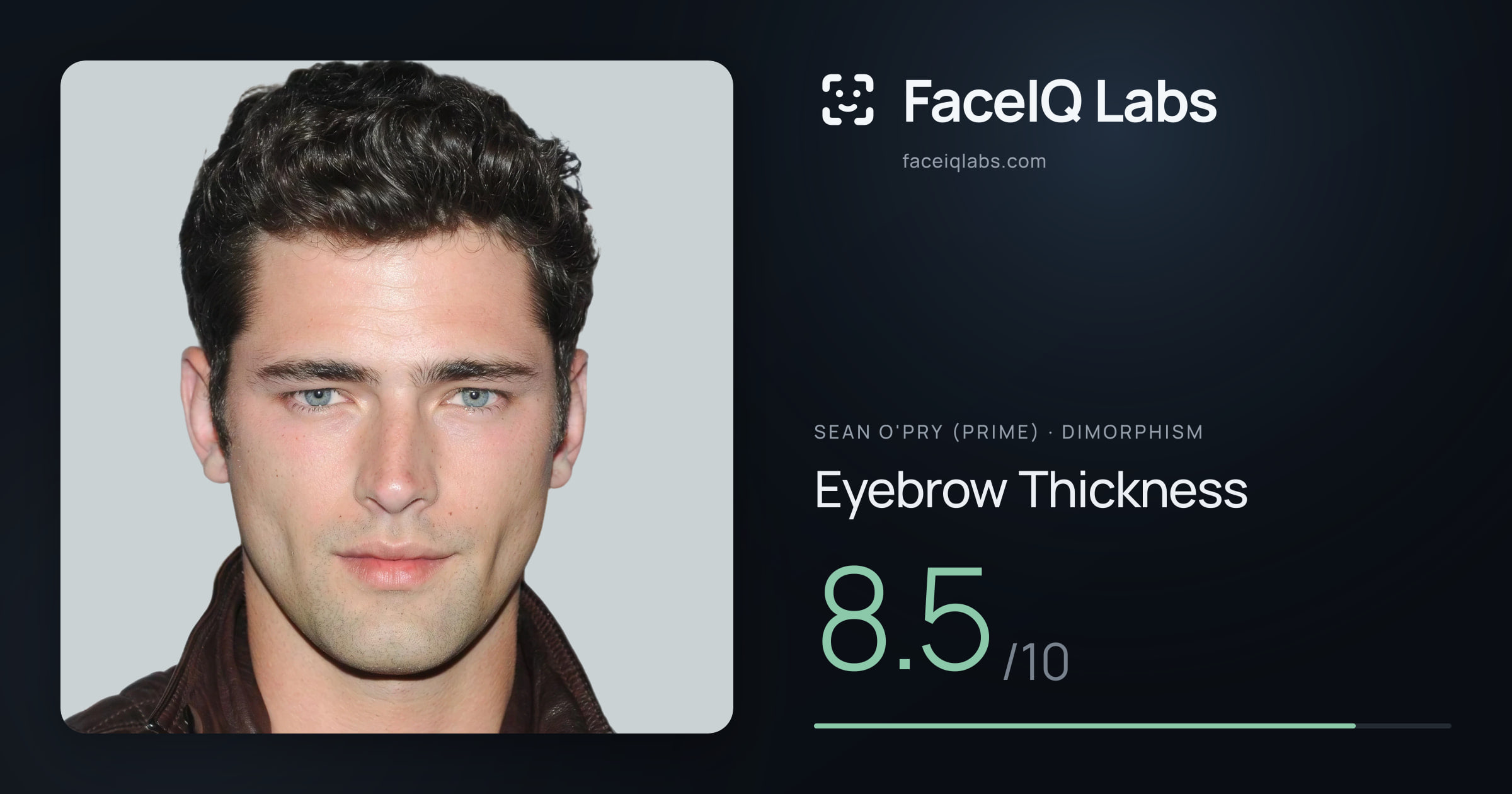 Sean O'Pry (Prime) Eyebrow Thickness: 8.5/10, drawn on the photo