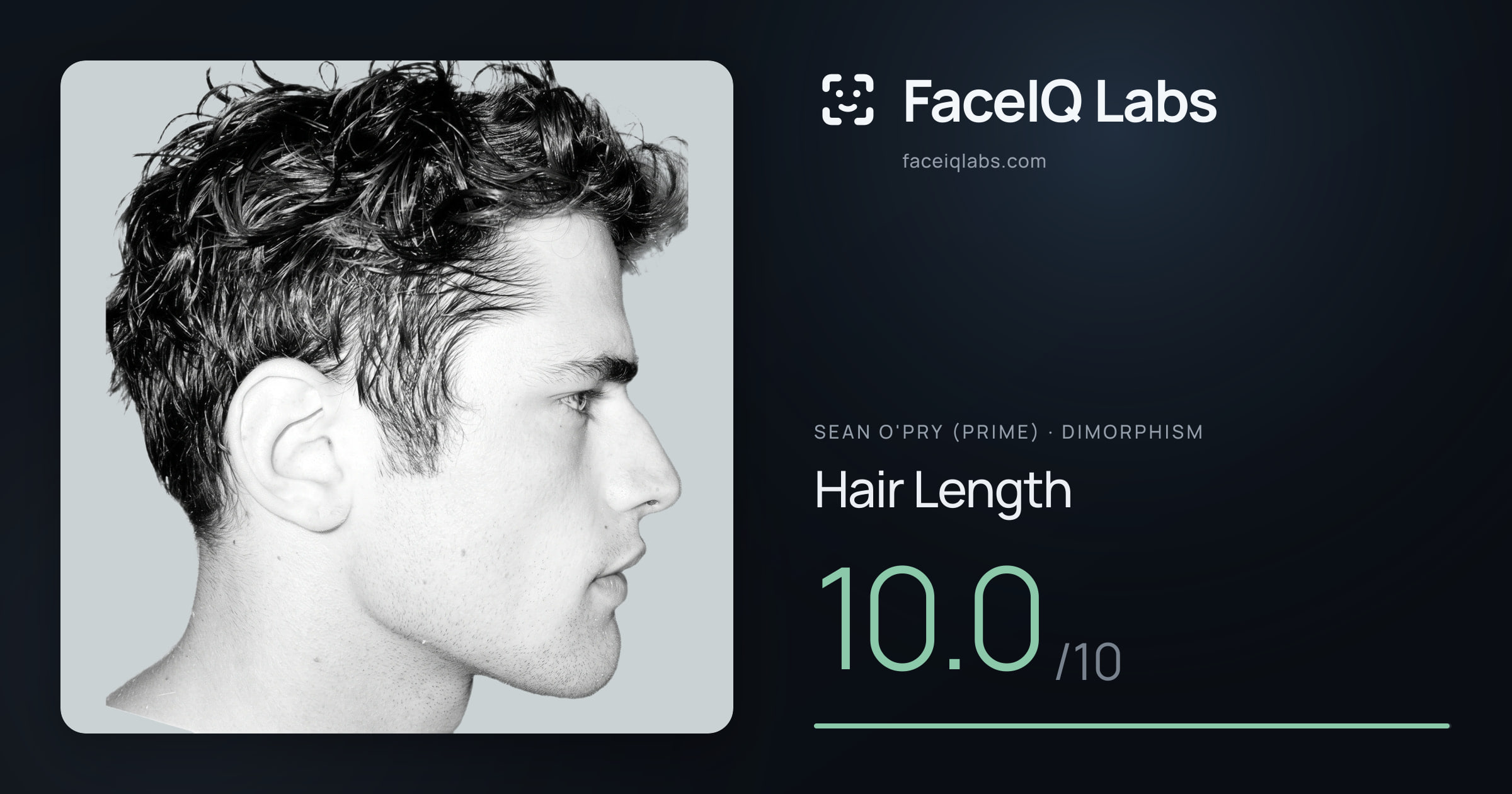 Sean O'Pry (Prime) Hair Length: 10.0/10, drawn on the photo