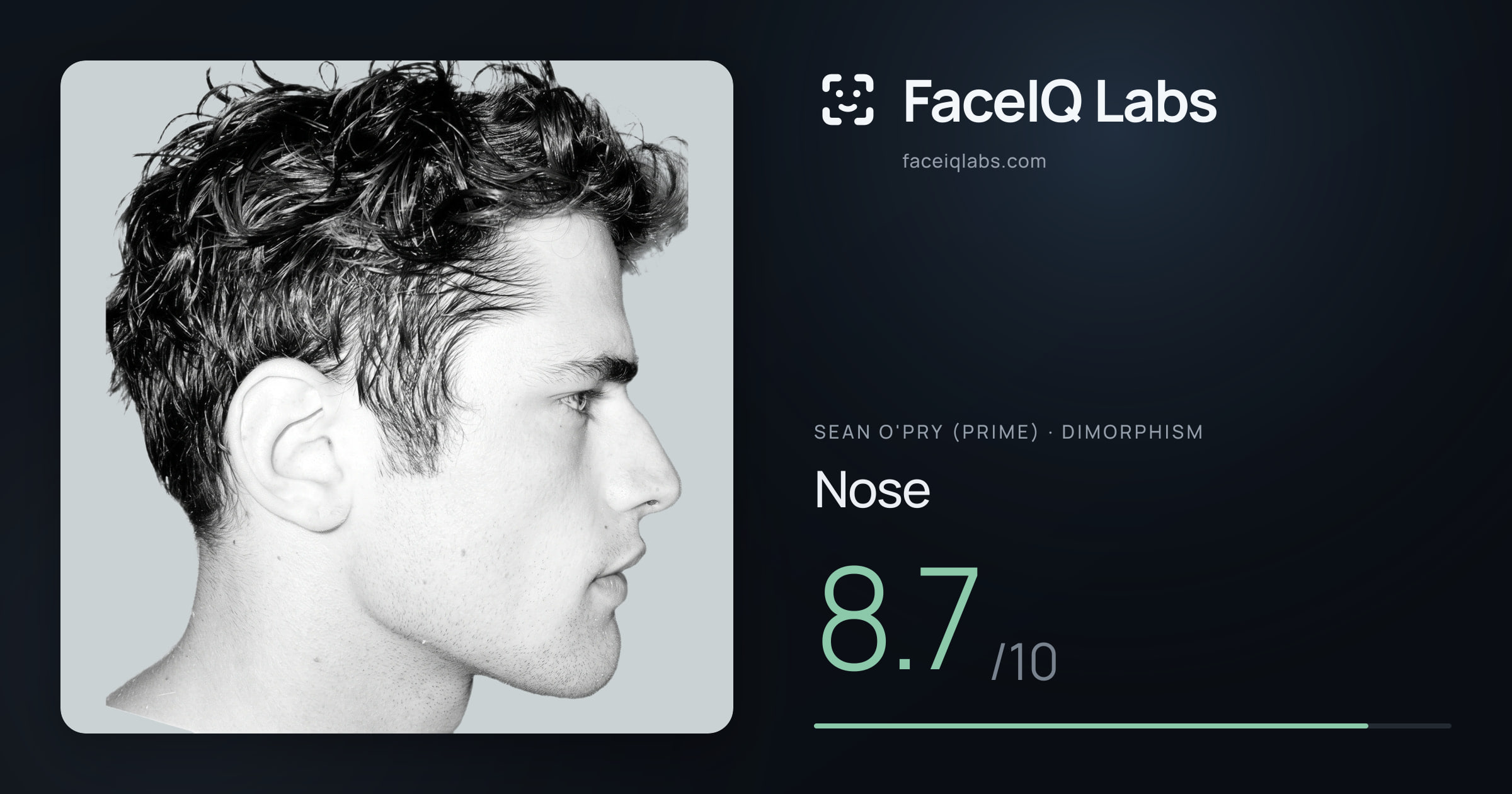 Sean O'Pry (Prime) Nose: 8.7/10, drawn on the photo