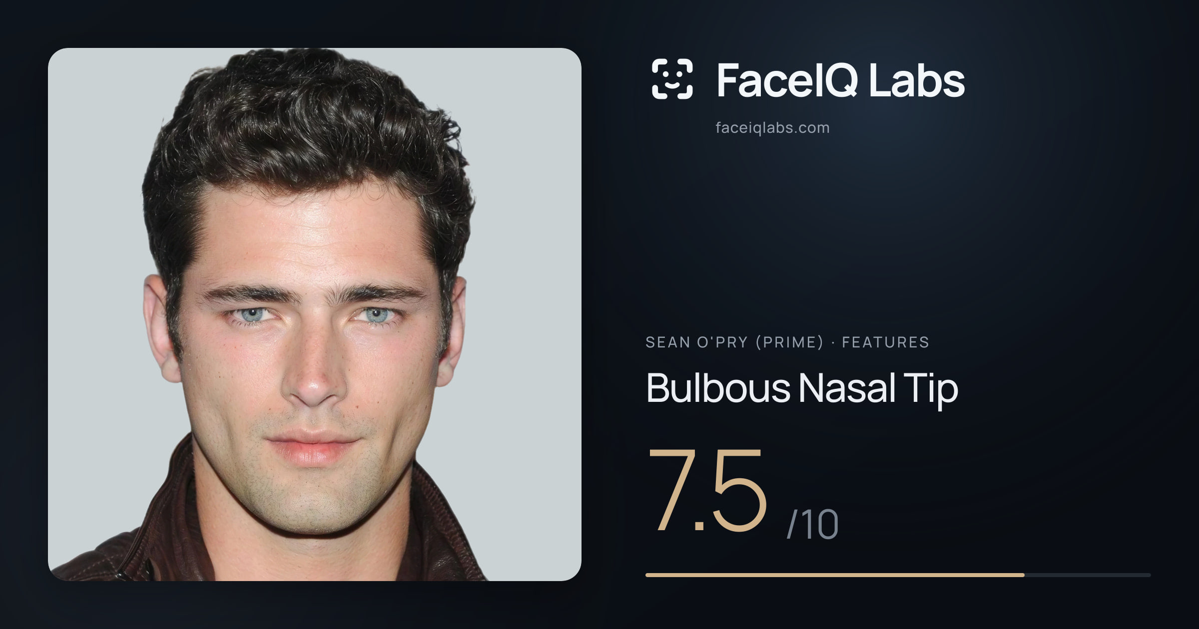 Sean O'Pry (Prime) Bulbous Nasal Tip: 7.5/10, drawn on the photo