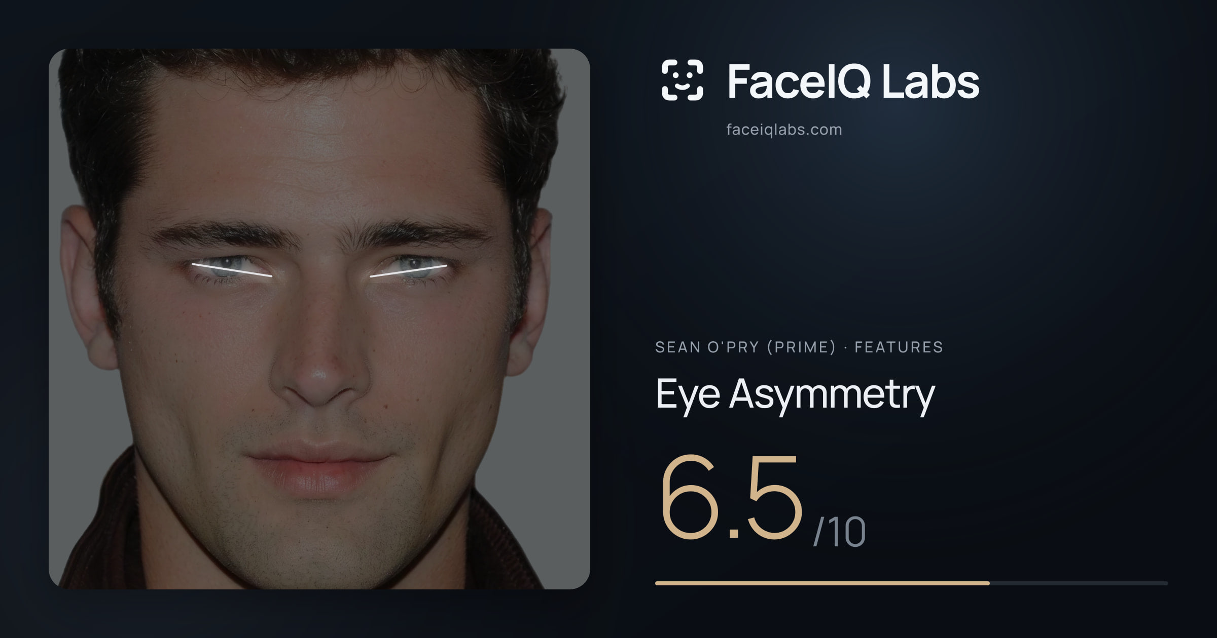 Sean O'Pry (Prime) Eye Asymmetry: 6.5/10, drawn on the photo