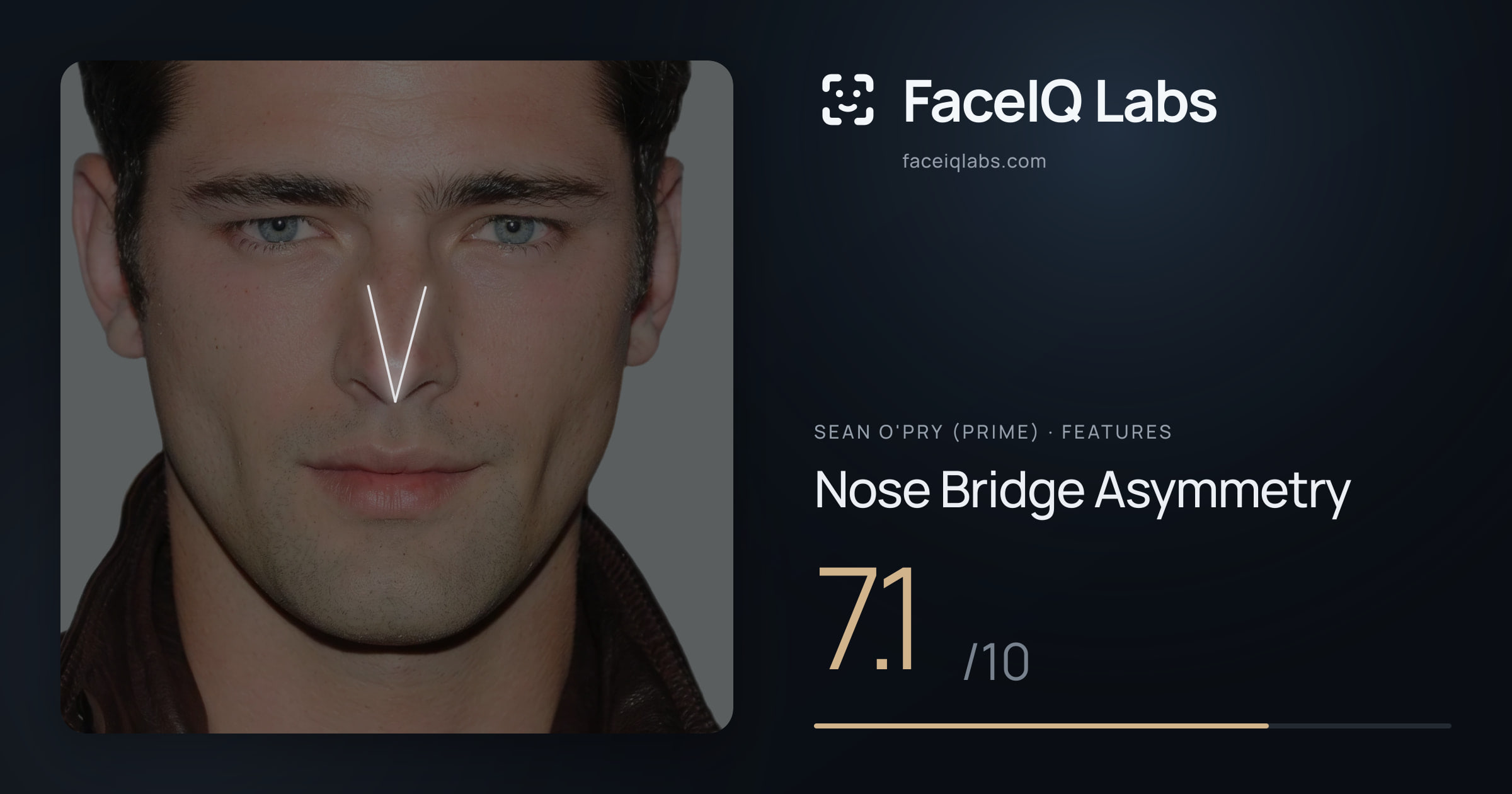 Sean O'Pry (Prime) Nose Bridge Asymmetry: 7.1/10, drawn on the photo