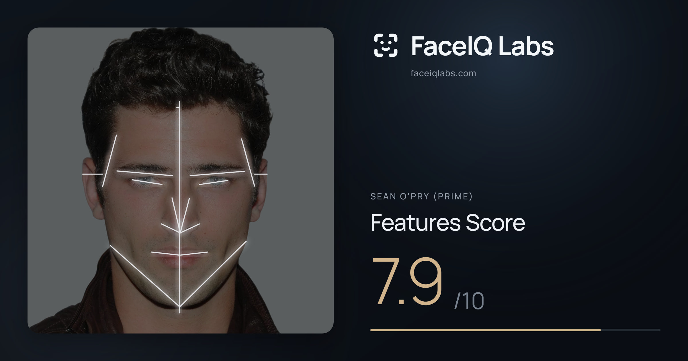 Sean O'Pry (Prime) Features: 7.9/10, with each assessment drawn on the photo