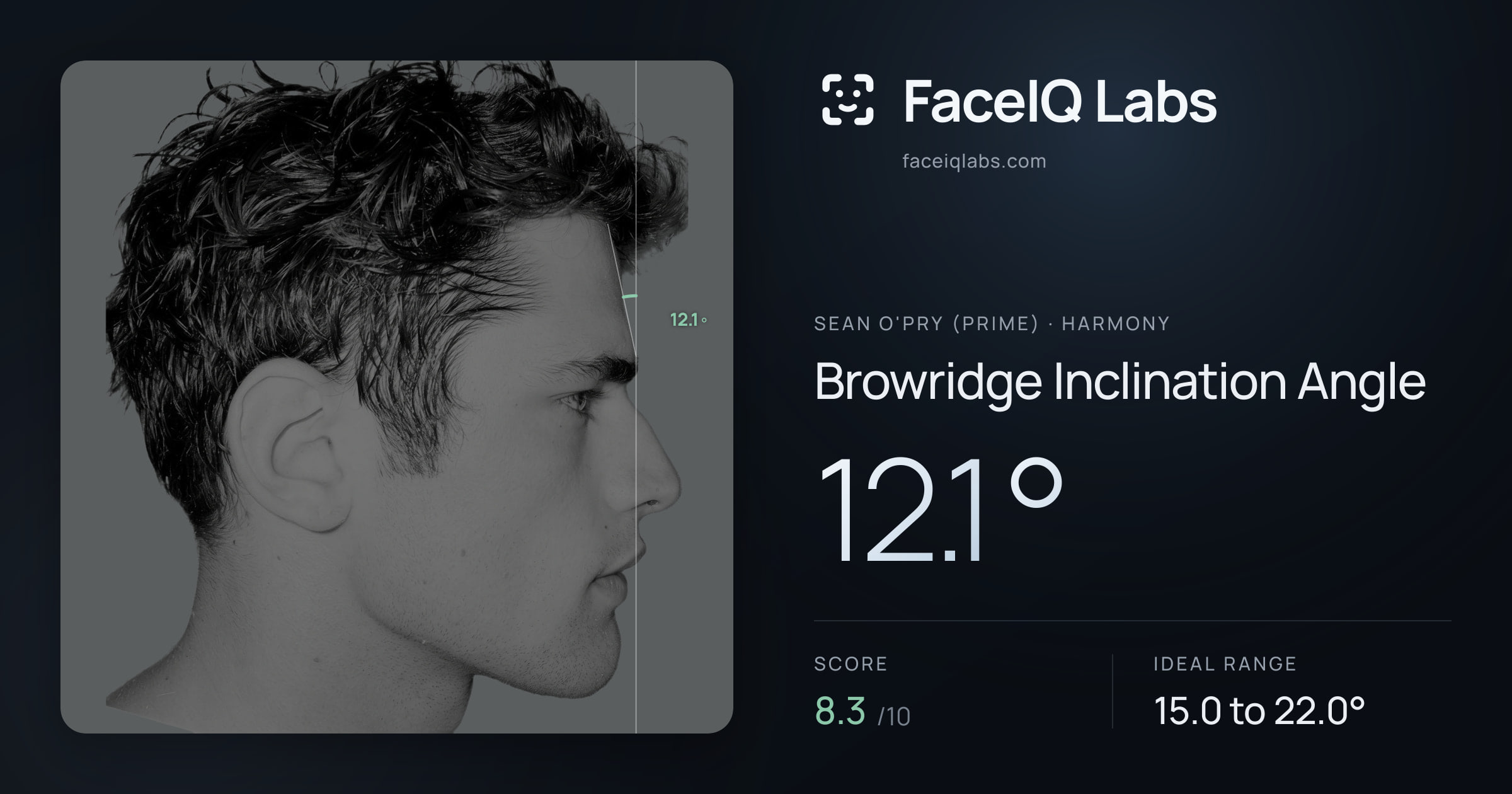 Sean O'Pry (Prime) Browridge Inclination Angle: 12.1°, drawn on the photo