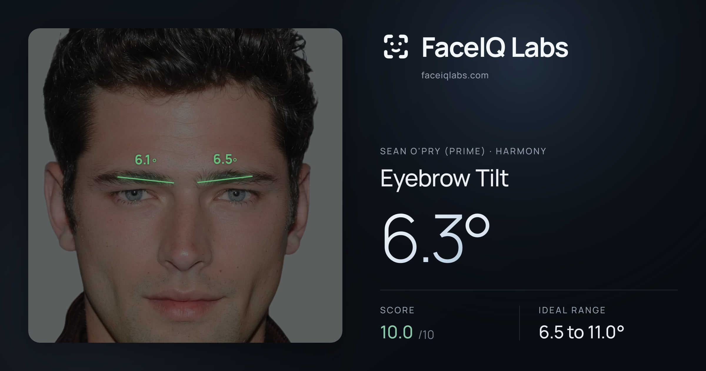 Sean O'Pry (Prime) Eyebrow Tilt: 6.3°, drawn on the photo