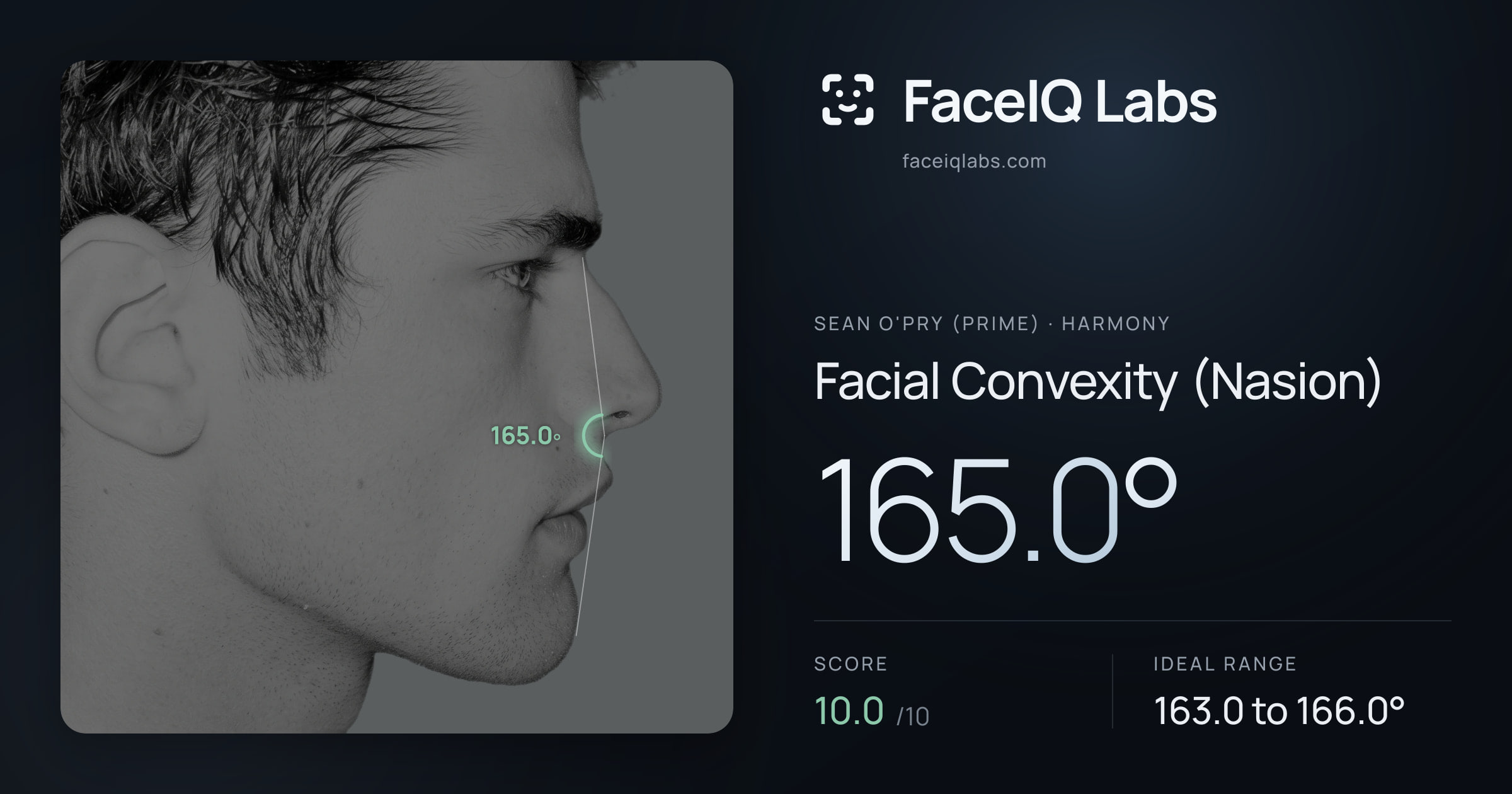 Sean O'Pry (Prime) Facial Convexity (Nasion): 165.0°, drawn on the photo