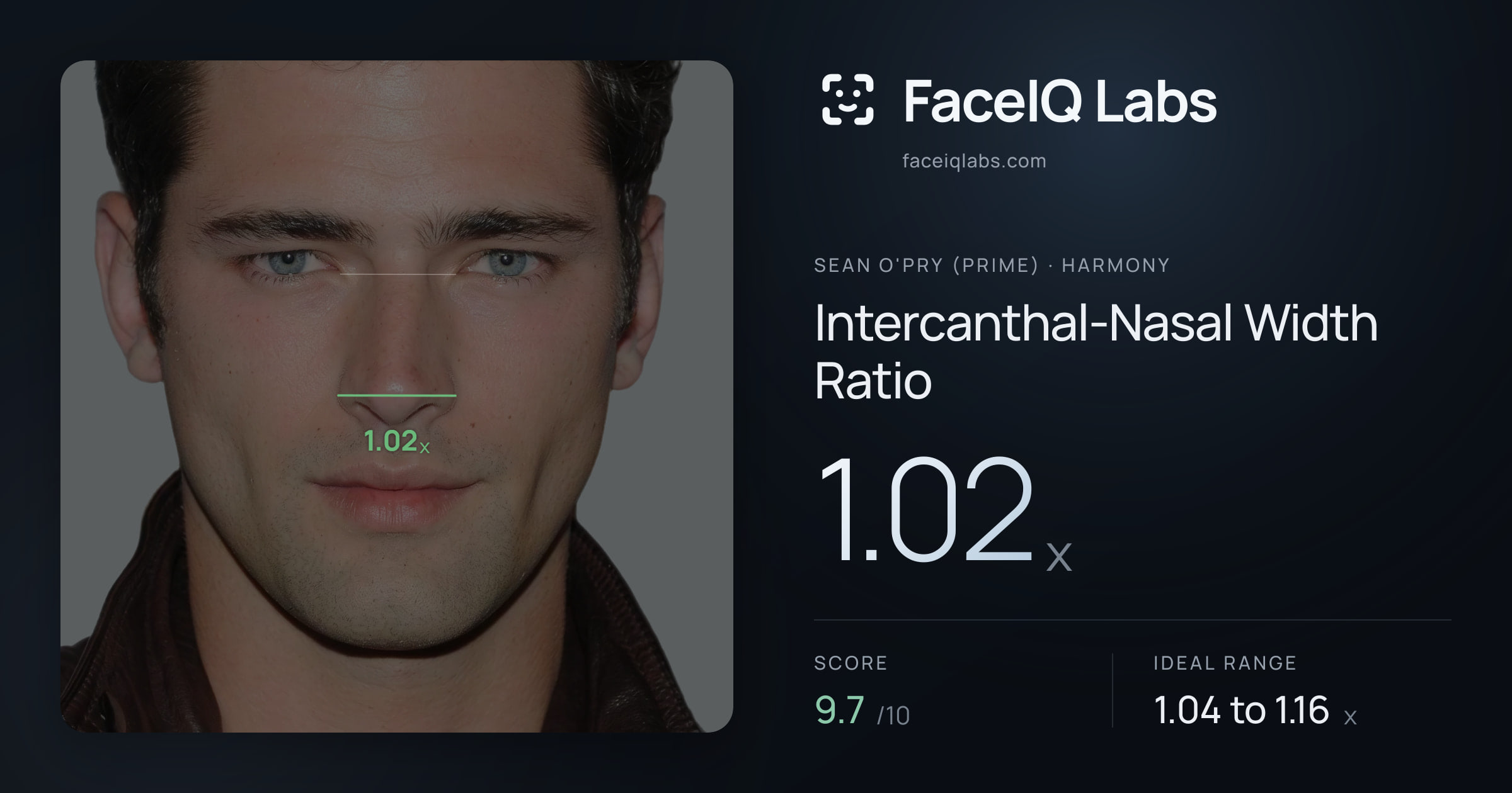 Sean O'Pry (Prime) Intercanthal-Nasal Width Ratio: 1.02x, drawn on the photo