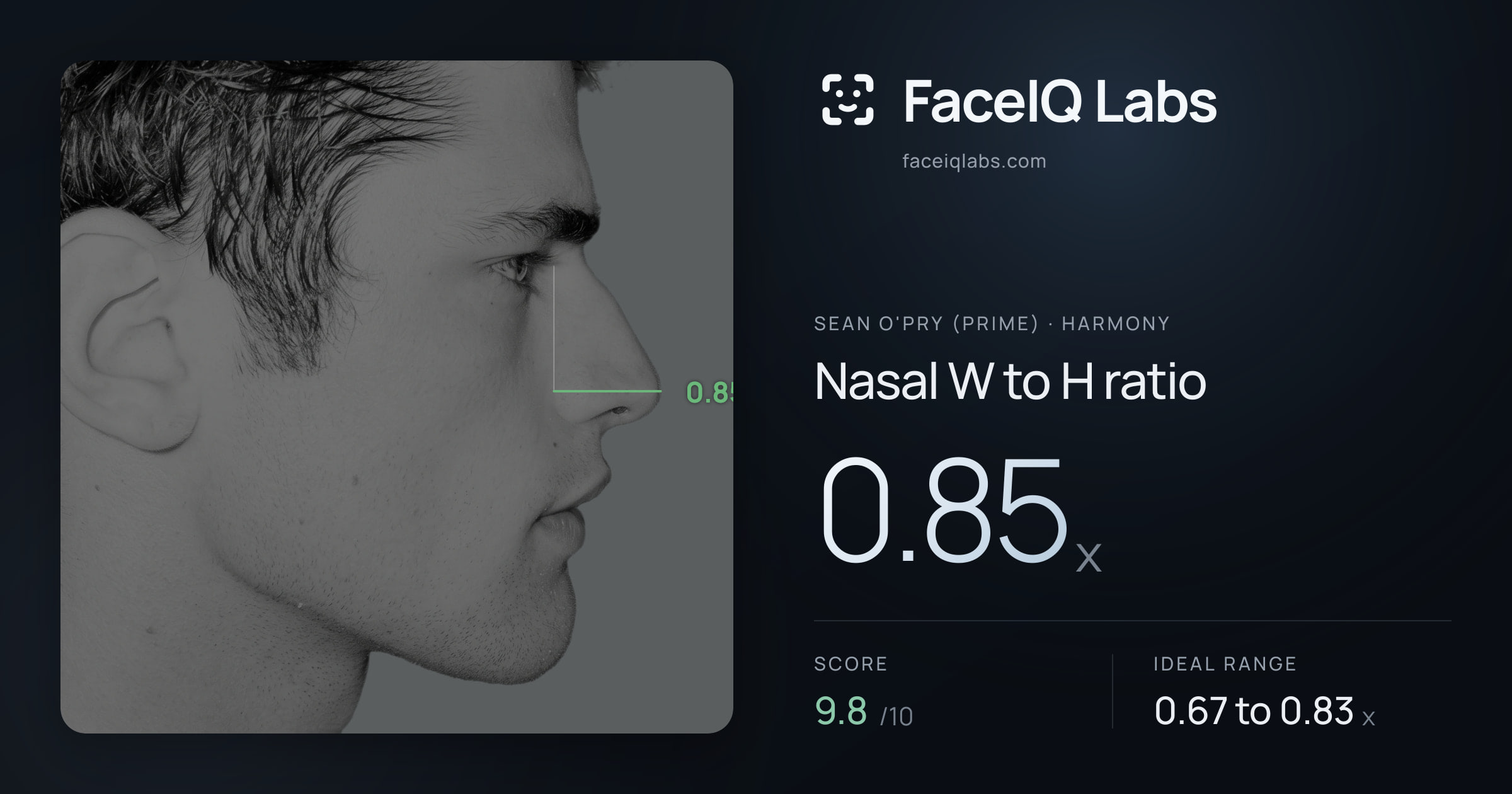 Sean O'Pry (Prime) Nasal W to H ratio: 0.85x, drawn on the photo