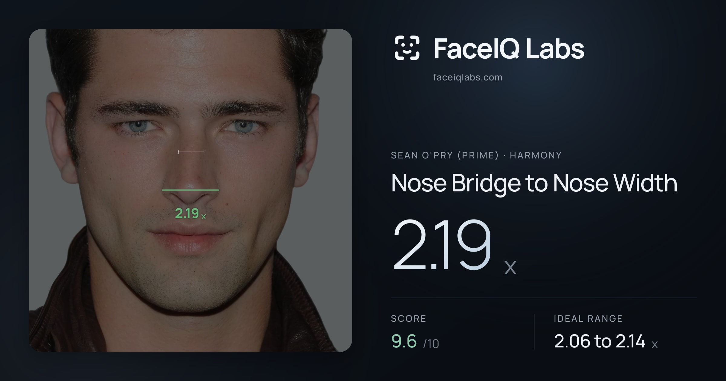 Sean O'Pry (Prime) Nose Bridge to Nose Width: 2.19x, drawn on the photo