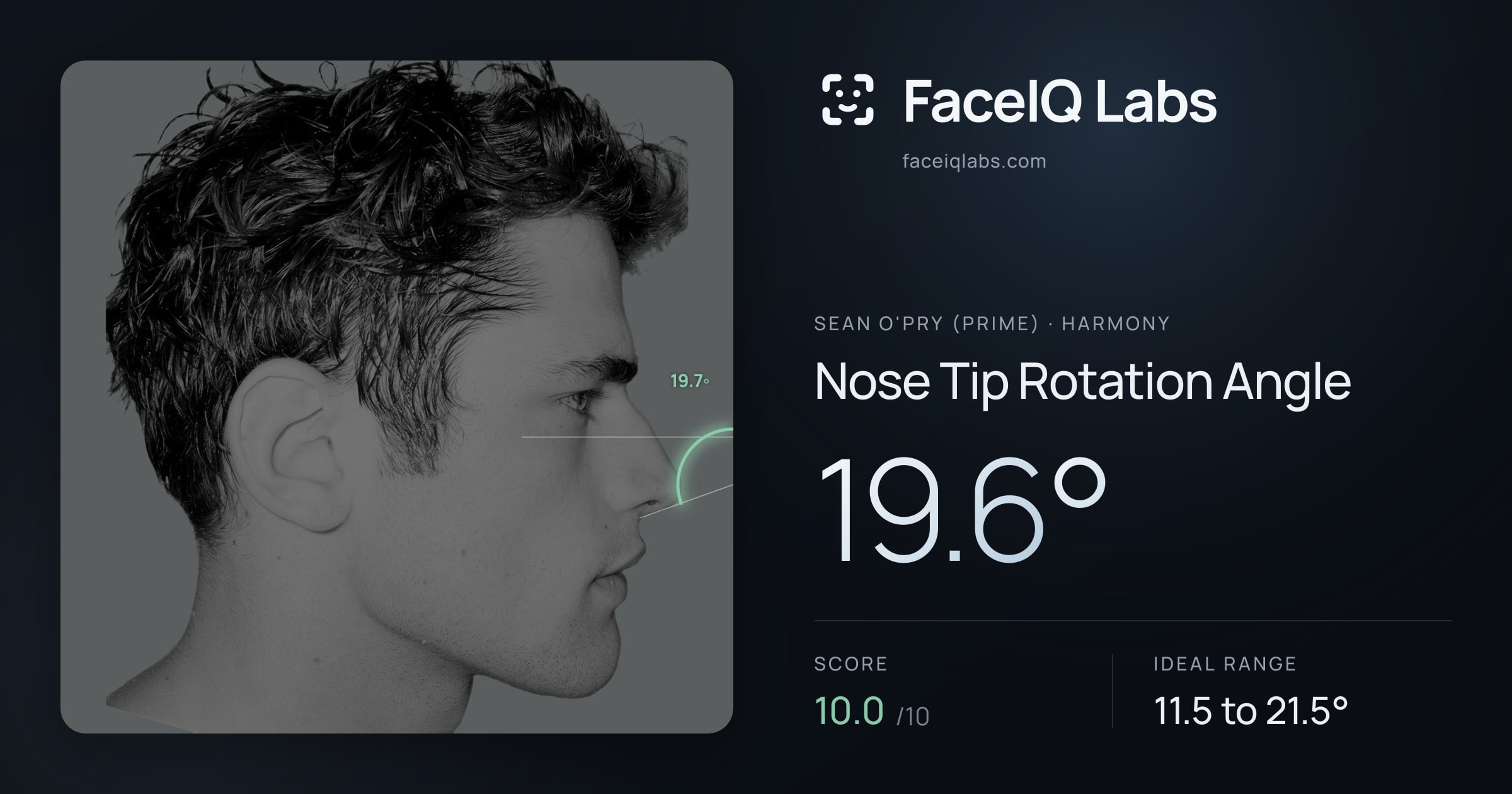 Sean O'Pry (Prime) Nose Tip Rotation Angle: 19.6°, drawn on the photo