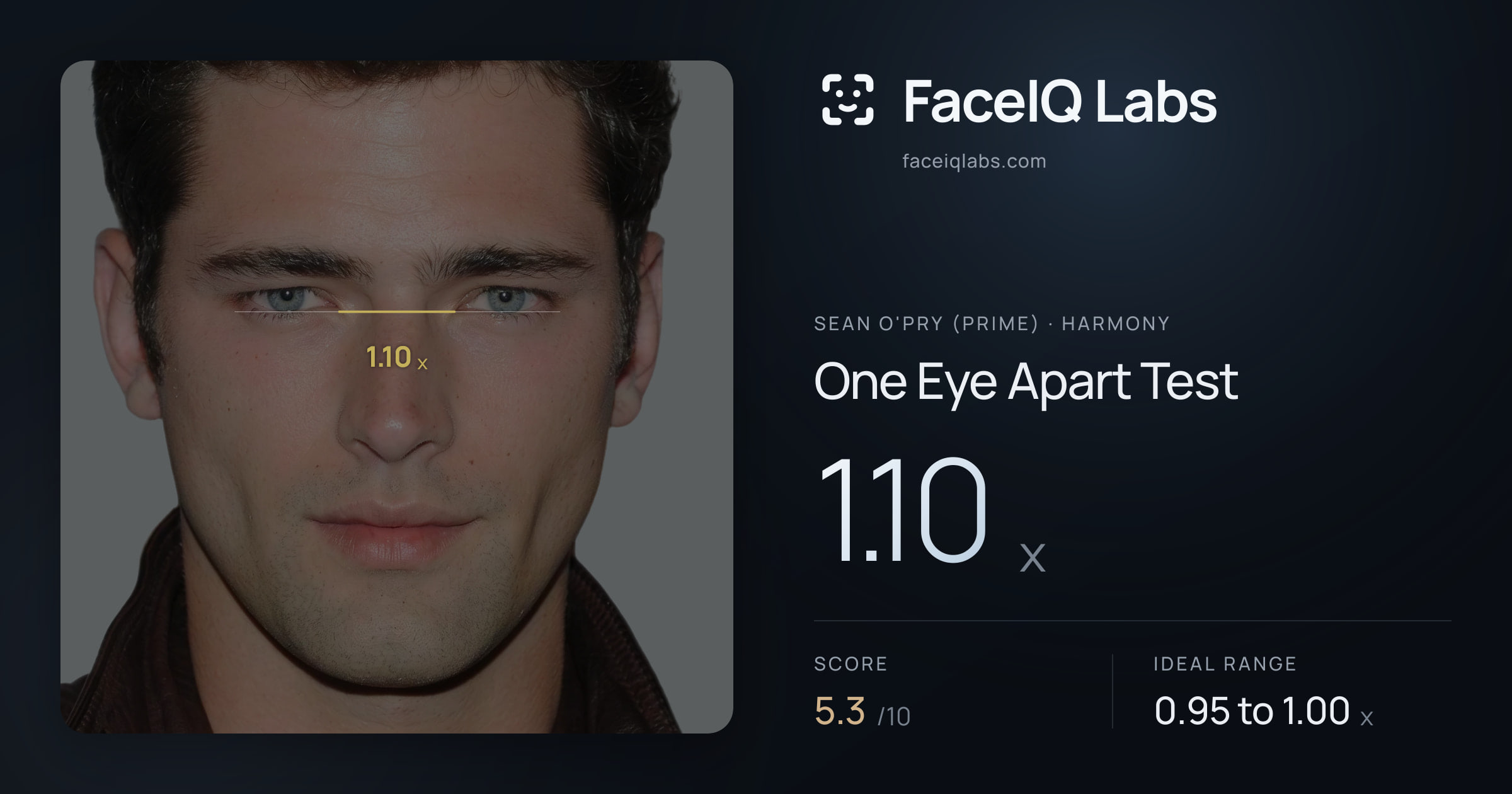 Sean O'Pry (Prime) One Eye Apart Test: 1.10x, drawn on the photo