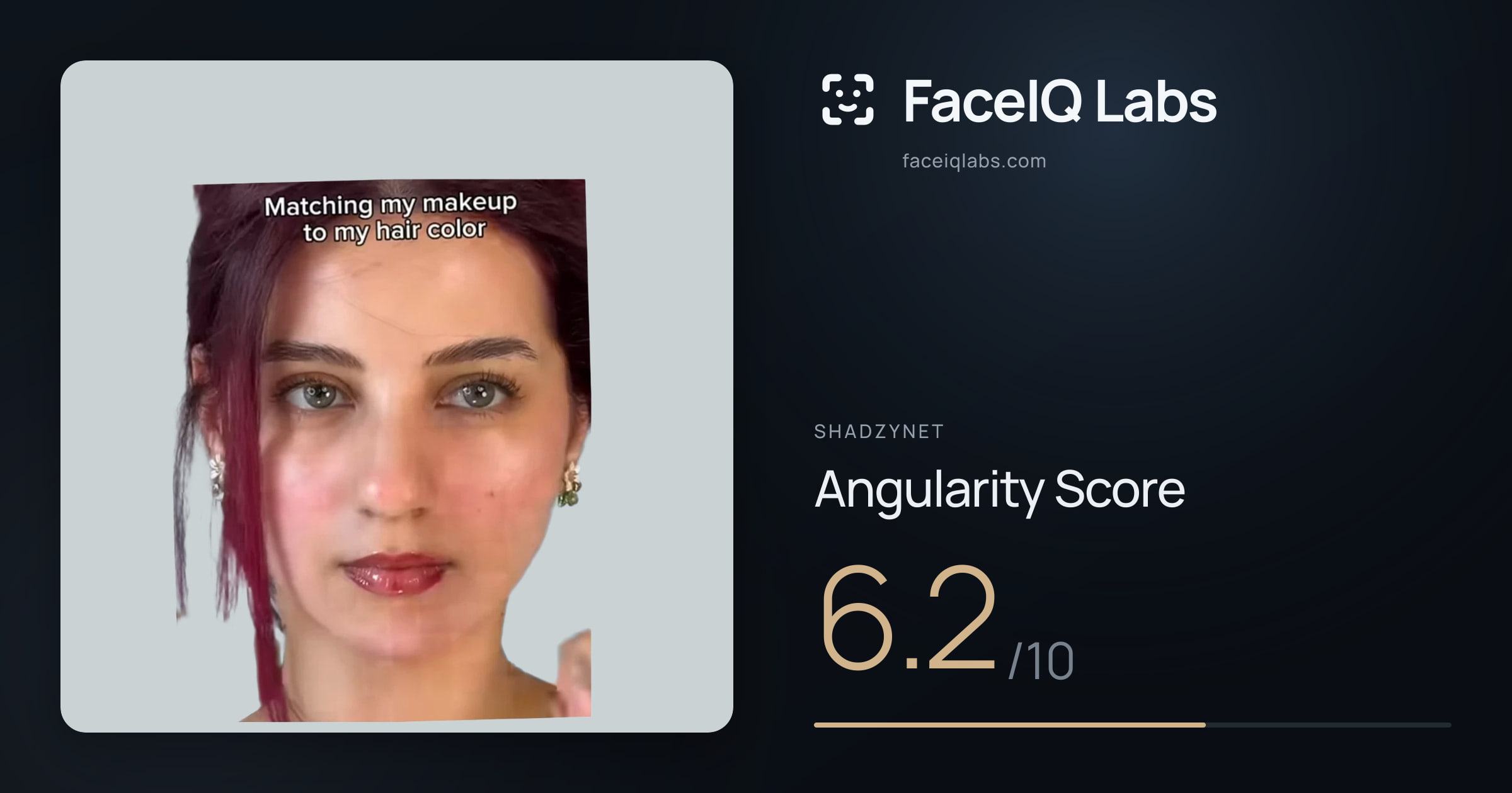 Shadzynet Angularity: 6.2/10, with each assessment drawn on the photo