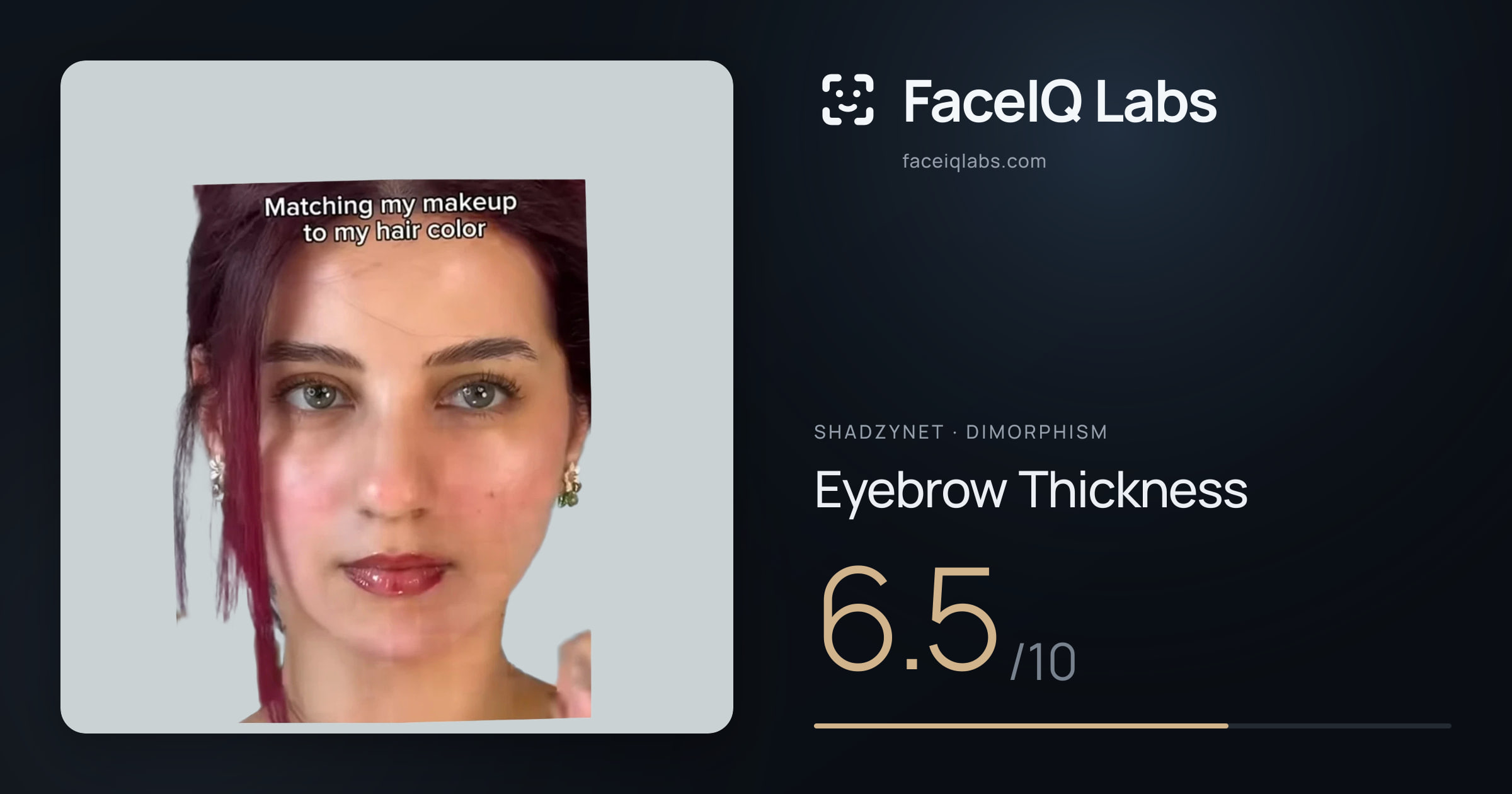 Shadzynet Eyebrow Thickness: 6.5/10, drawn on the photo