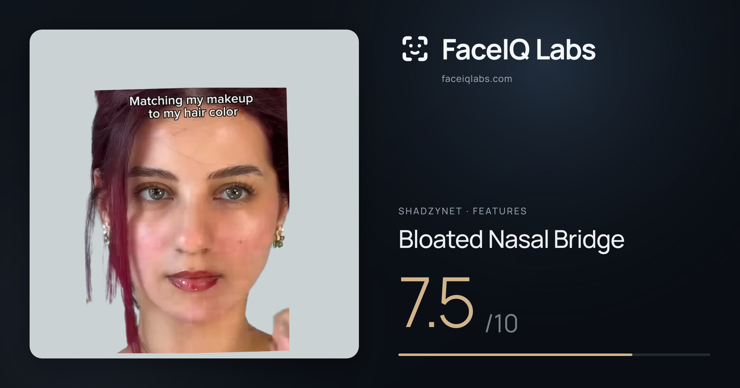 Shadzynet Bloated Nasal Bridge: 7.5/10, drawn on the photo