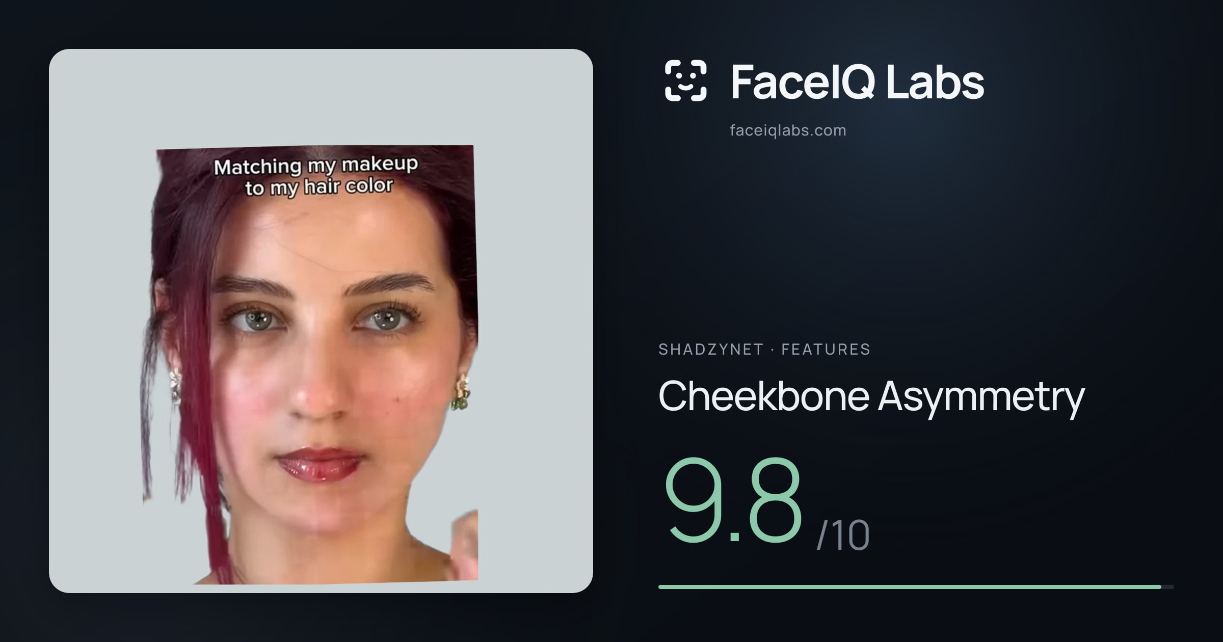 Shadzynet Cheekbone Asymmetry: 9.8/10, drawn on the photo