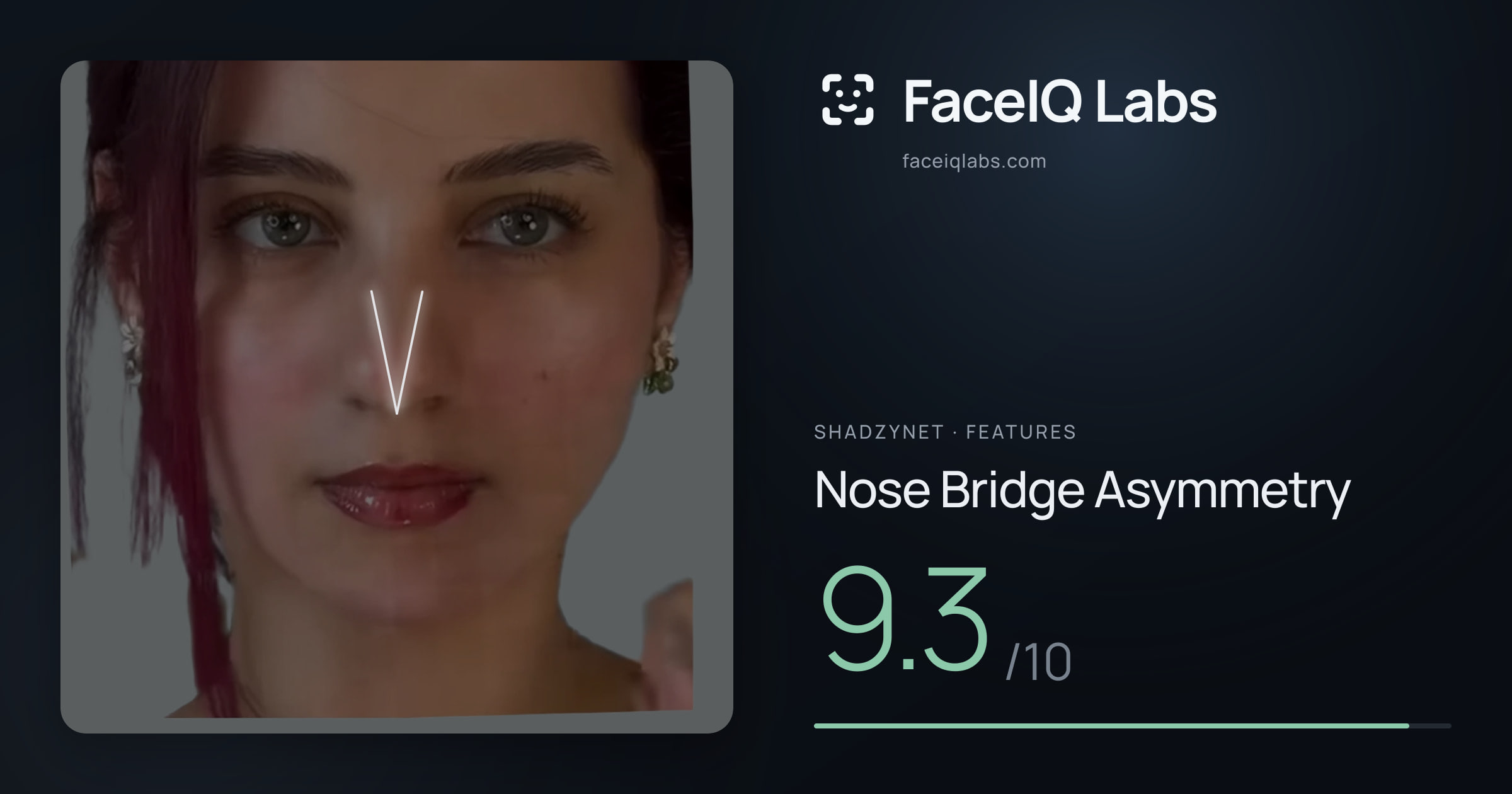 Shadzynet Nose Bridge Asymmetry: 9.3/10, drawn on the photo