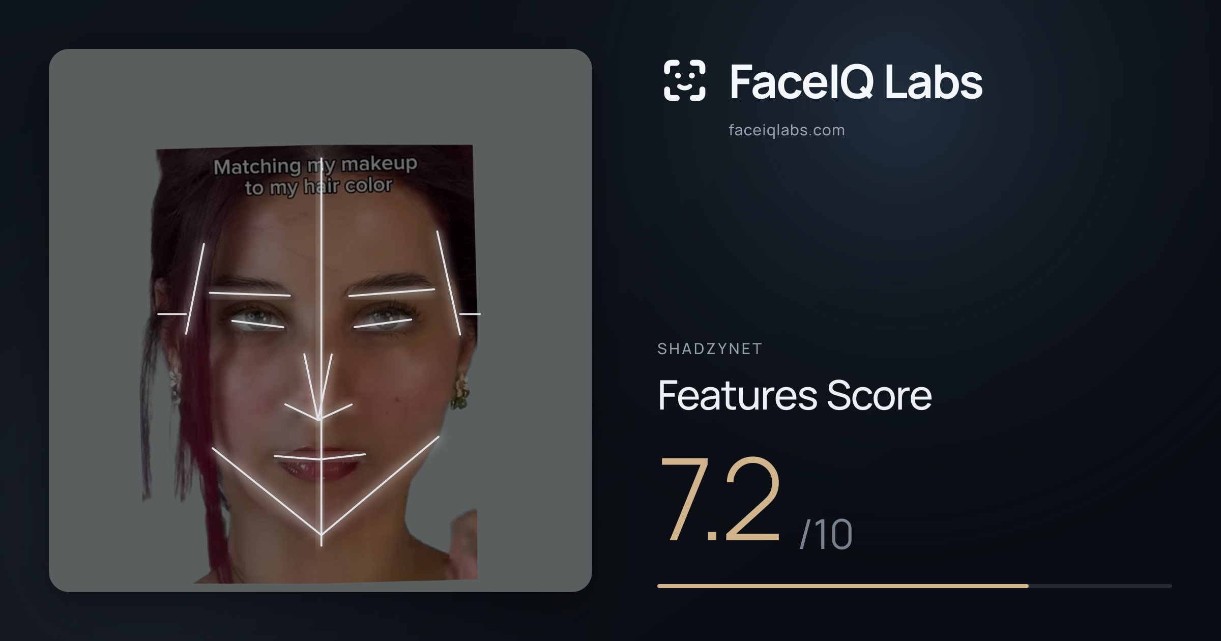 Shadzynet Features: 7.2/10, with each assessment drawn on the photo