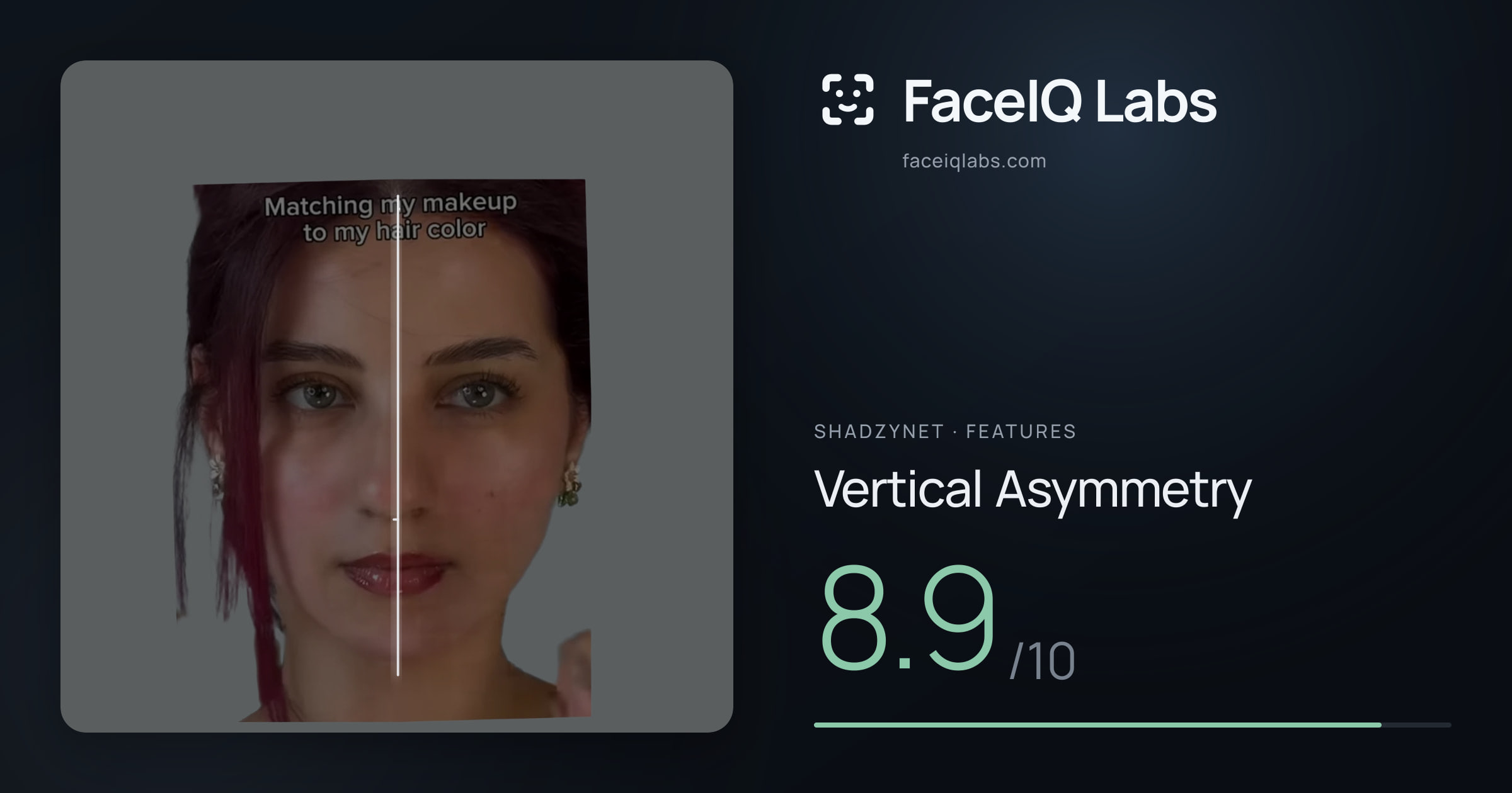 Shadzynet Vertical Asymmetry: 8.9/10, drawn on the photo