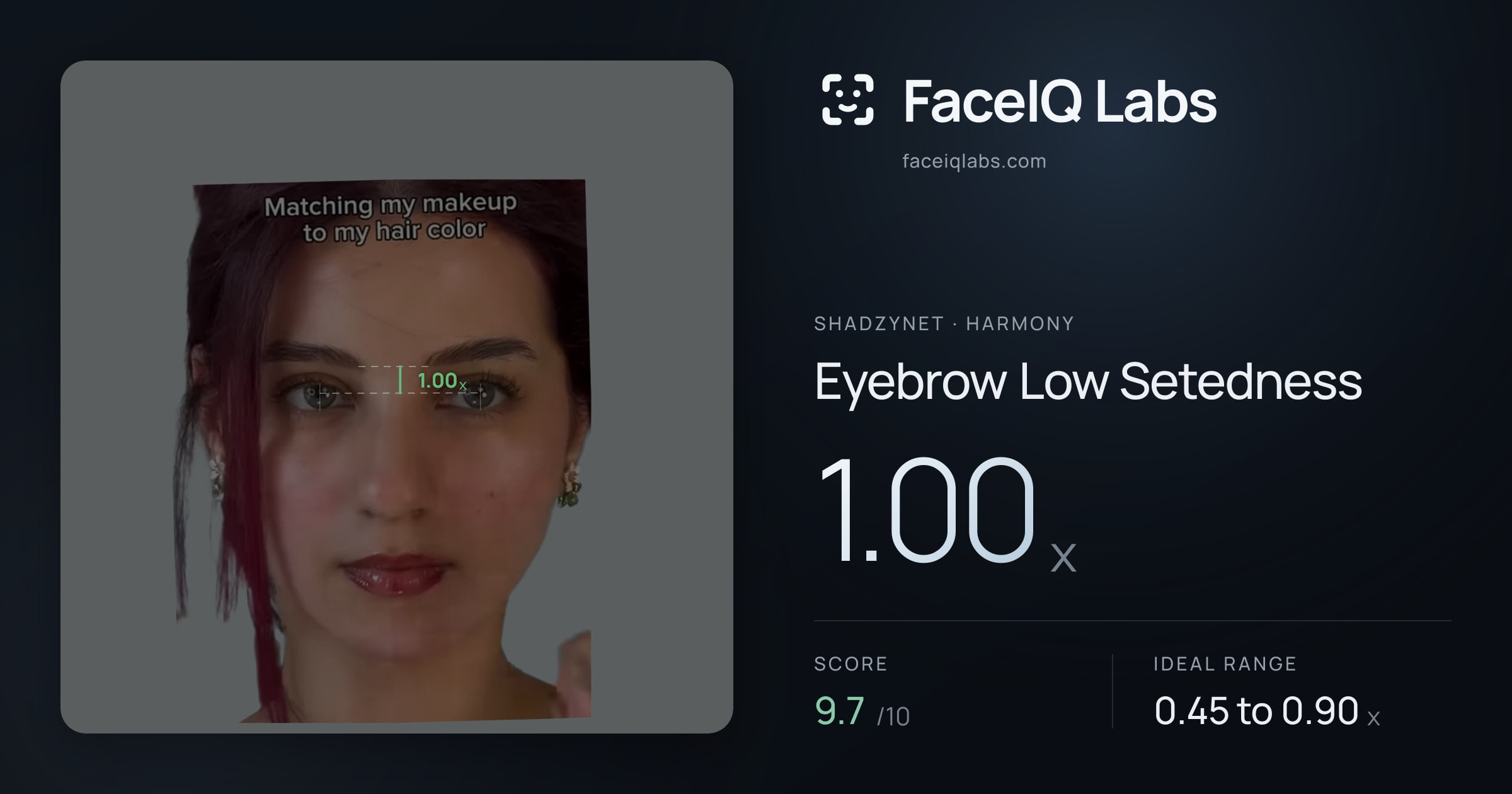 Shadzynet Eyebrow Low Setedness: 1.00x, drawn on the photo