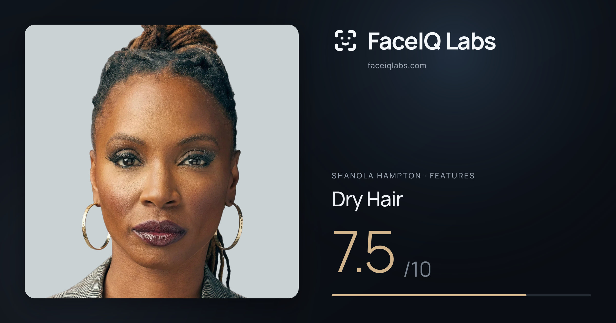 Shanola Hampton Dry Hair: 7.5/10, drawn on the photo