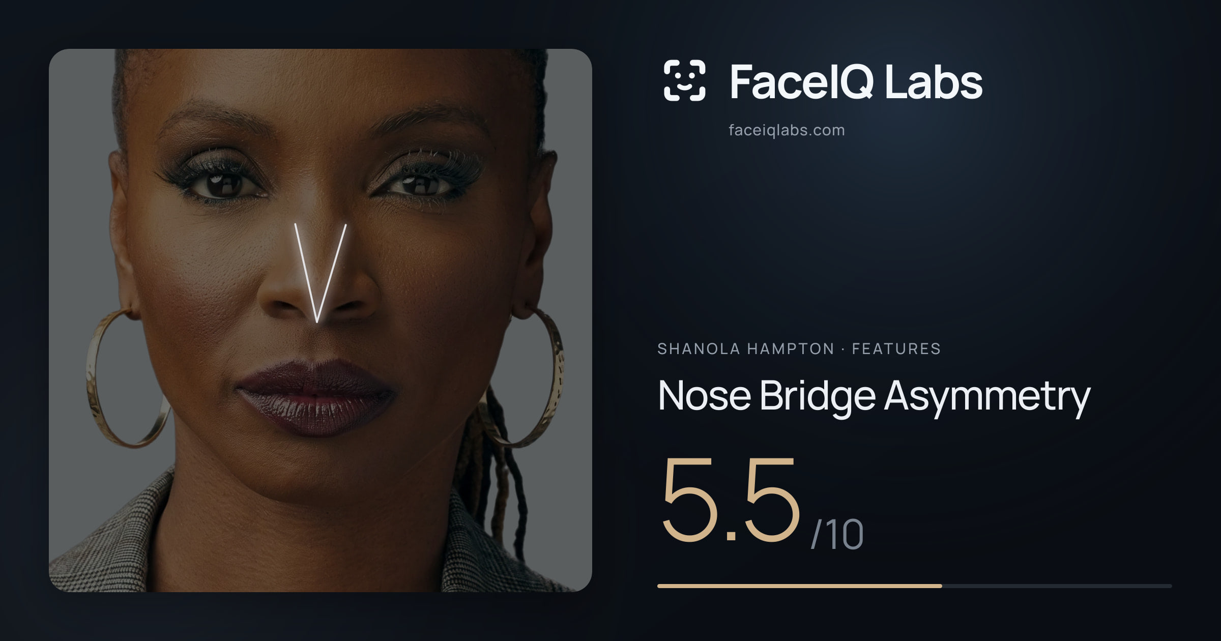 Shanola Hampton Nose Bridge Asymmetry: 5.5/10, drawn on the photo