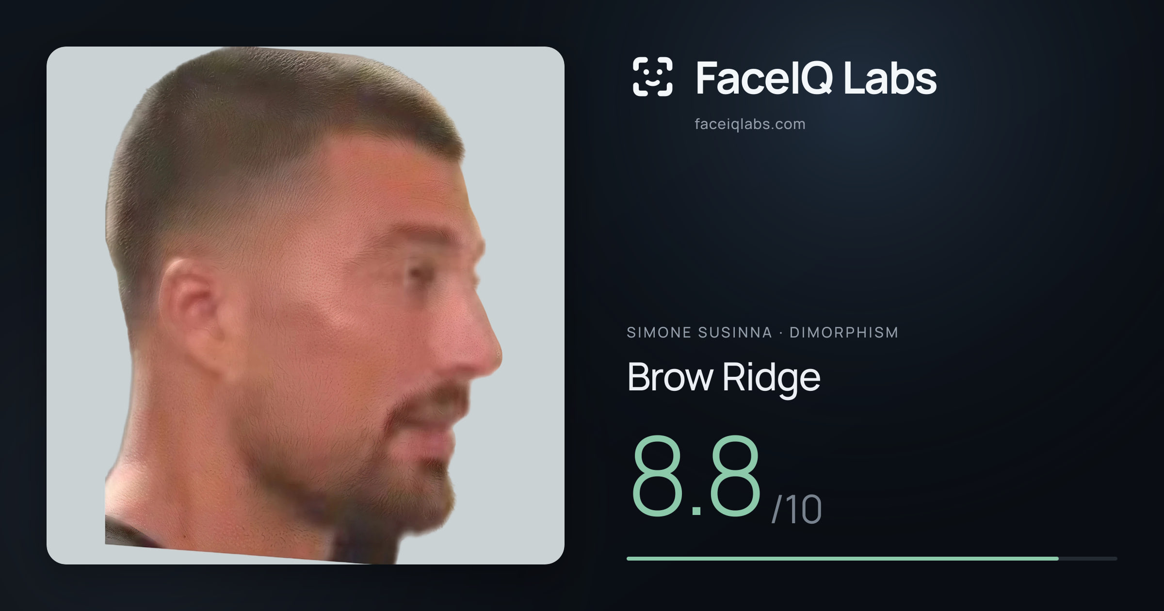 Simone Susinna Brow Ridge: 8.8/10, drawn on the photo