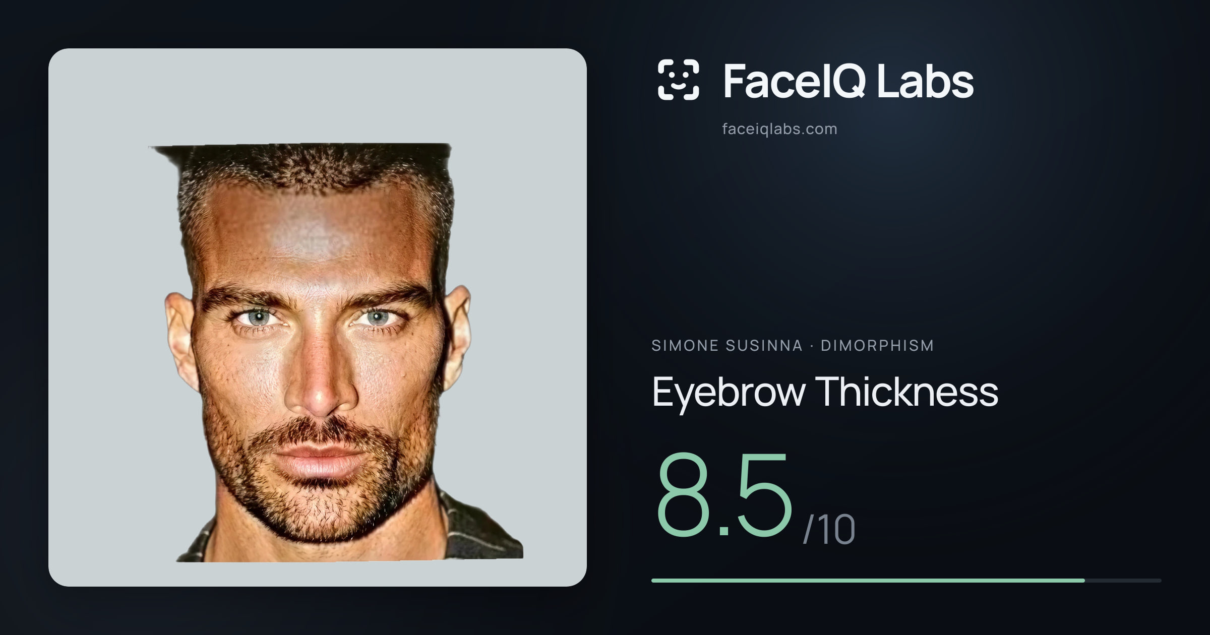Simone Susinna Eyebrow Thickness: 8.5/10, drawn on the photo