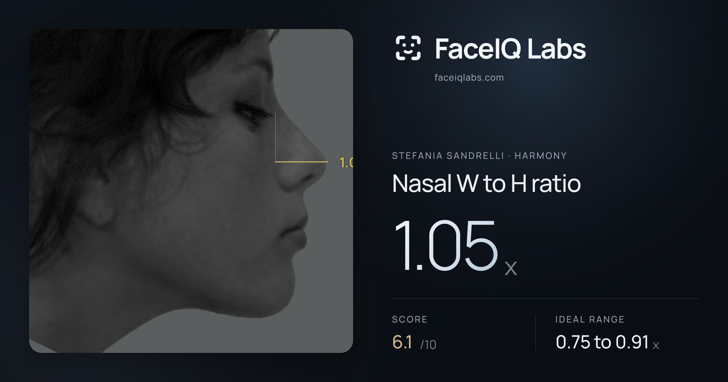 Stefania Sandrelli Nasal W to H ratio: 1.05x, drawn on the photo