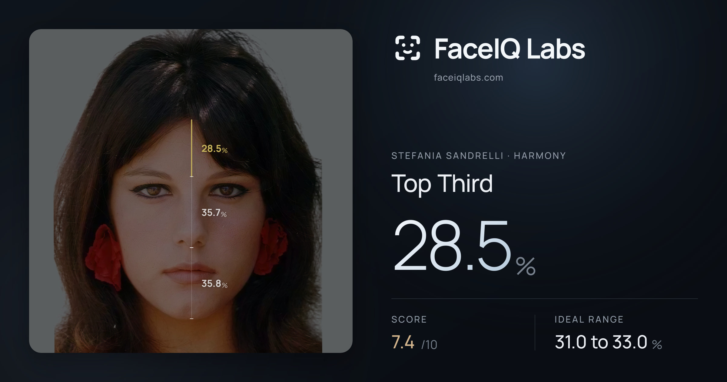 Stefania Sandrelli Top Third: 28.5%, drawn on the photo