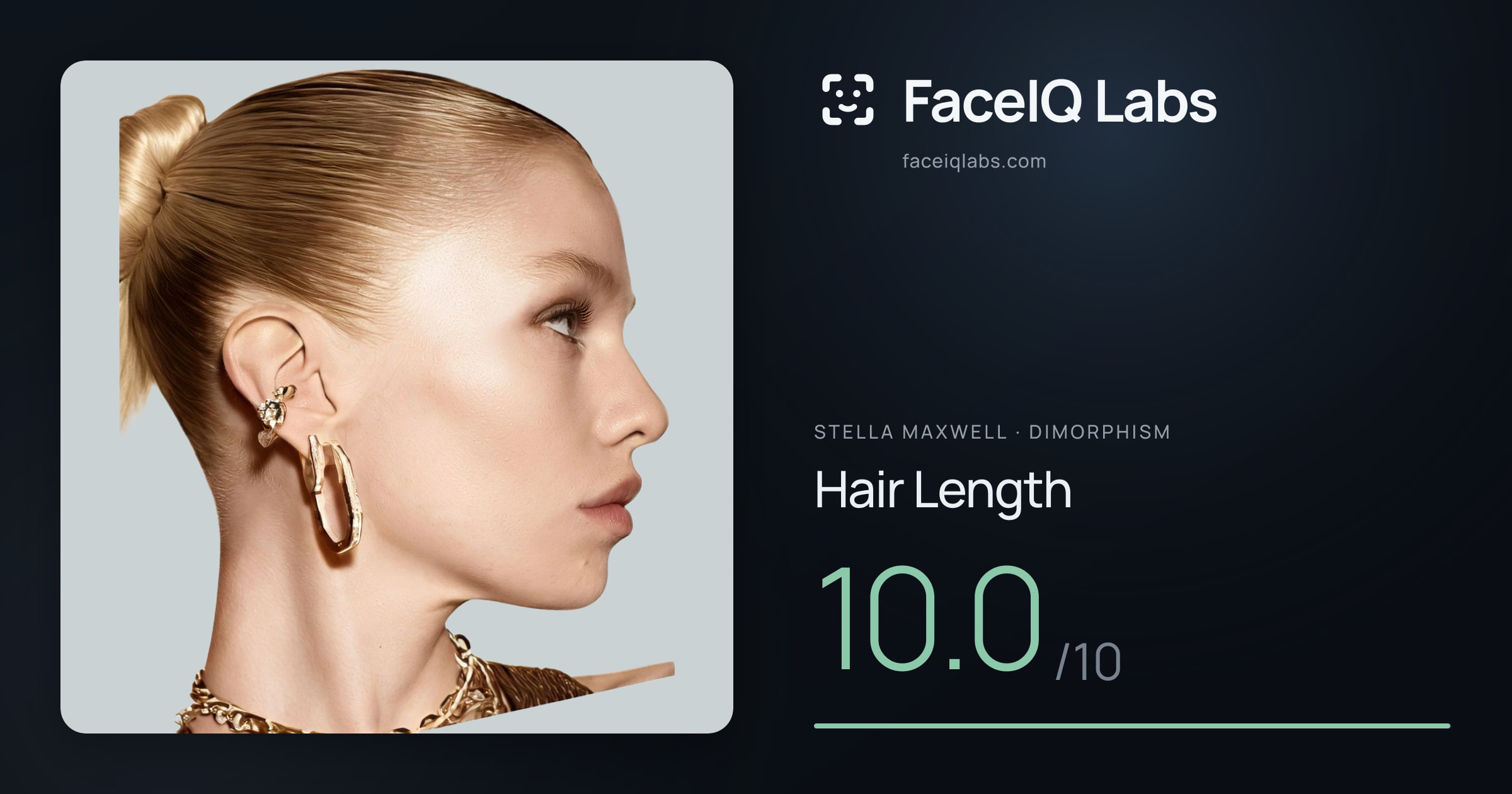 Stella Maxwell Hair Length: 10.0/10, drawn on the photo
