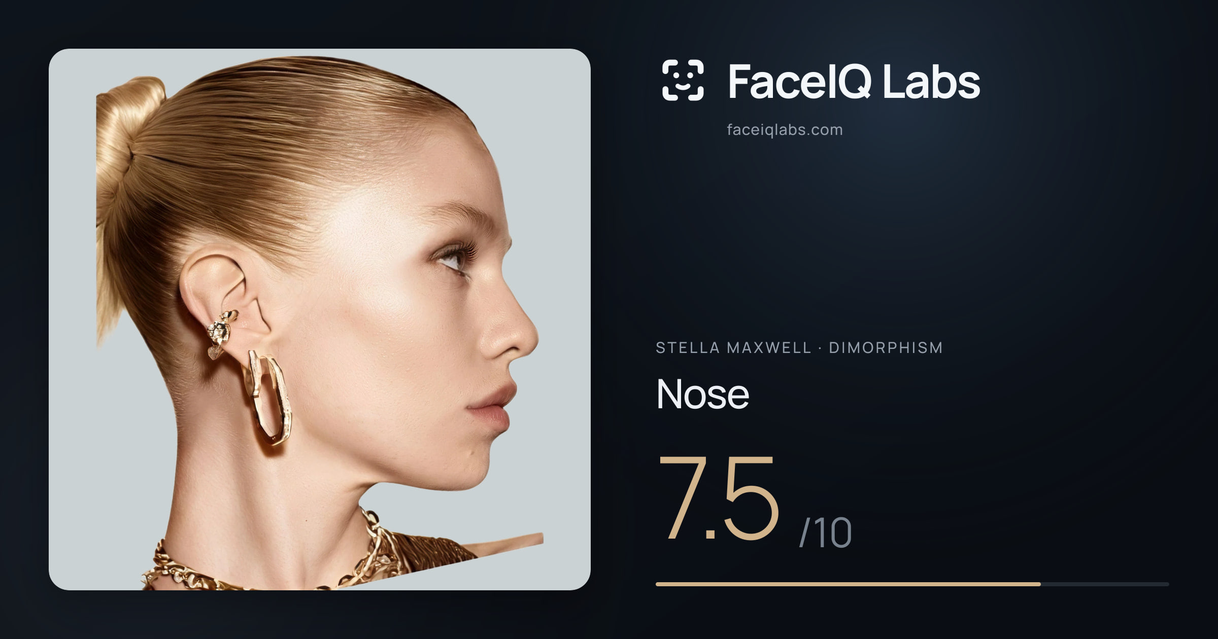 Stella Maxwell Nose: 7.5/10, drawn on the photo