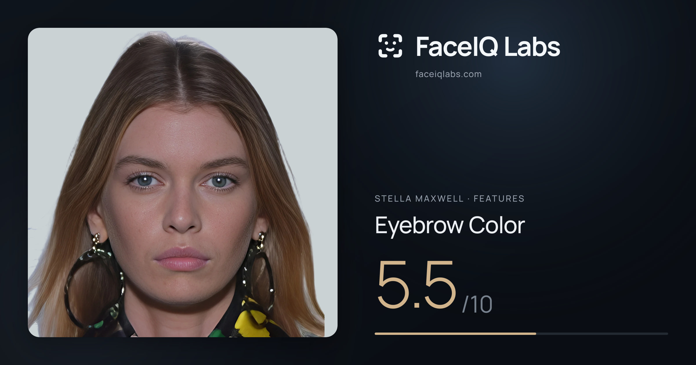Stella Maxwell Eyebrow Color: 5.5/10, drawn on the photo