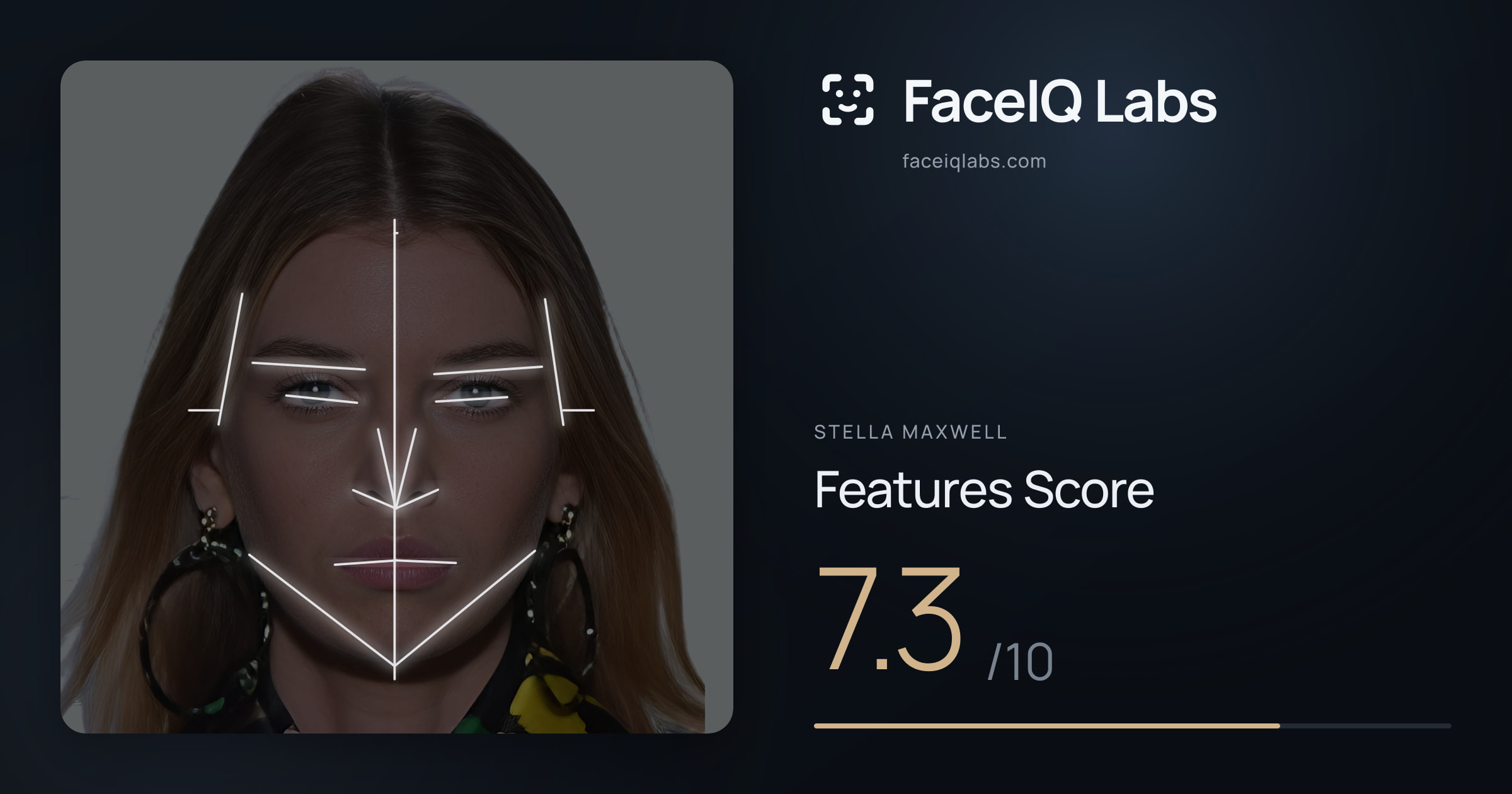 Stella Maxwell Features: 7.3/10, with each assessment drawn on the photo