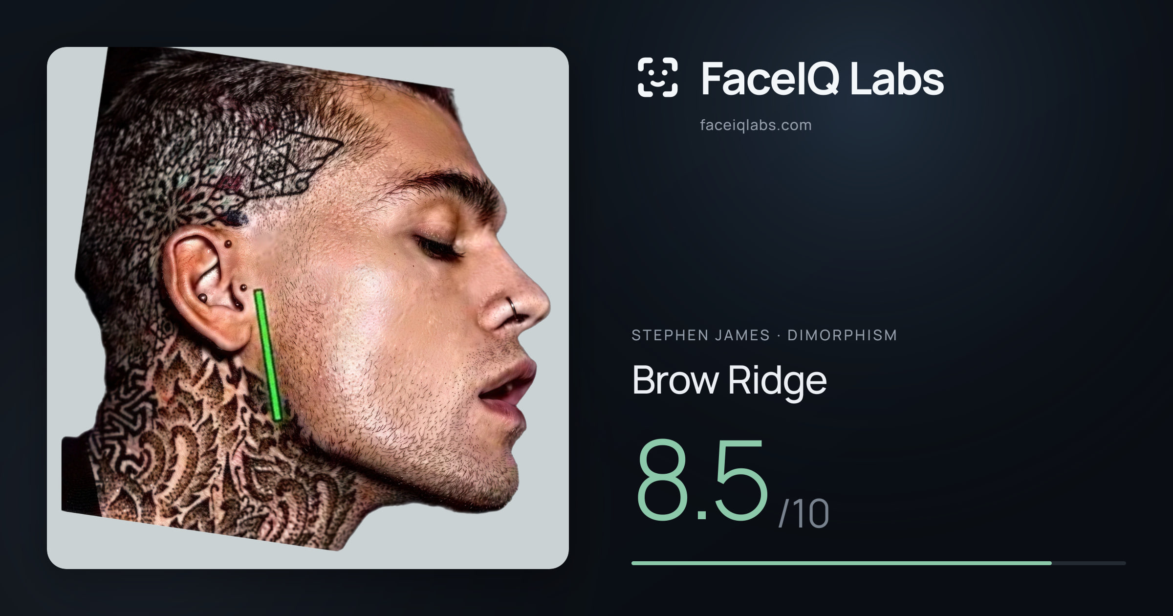 Stephen James Brow Ridge: 8.5/10, drawn on the photo