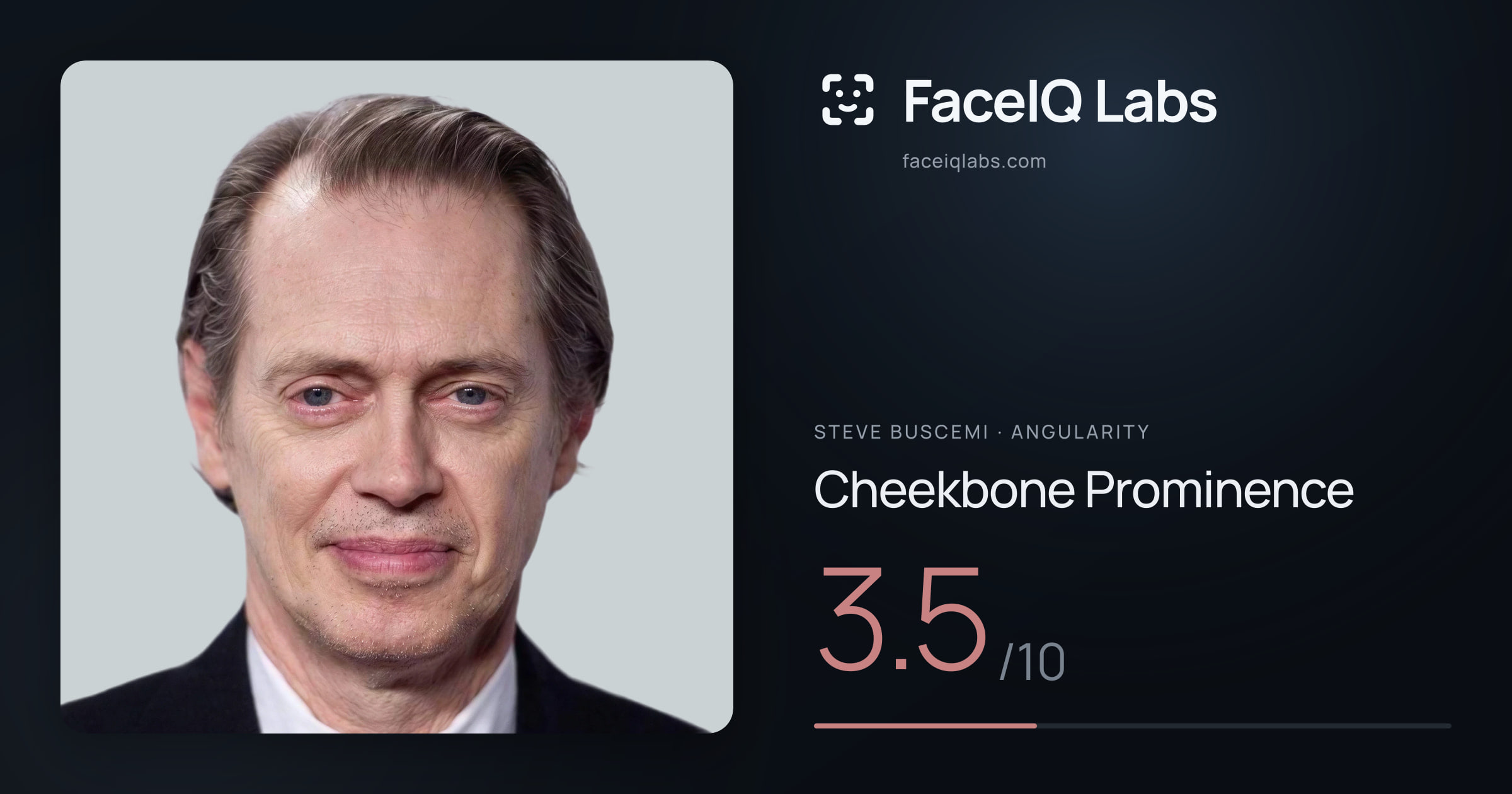 Steve Buscemi Cheekbone Prominence: 3.5/10, drawn on the photo