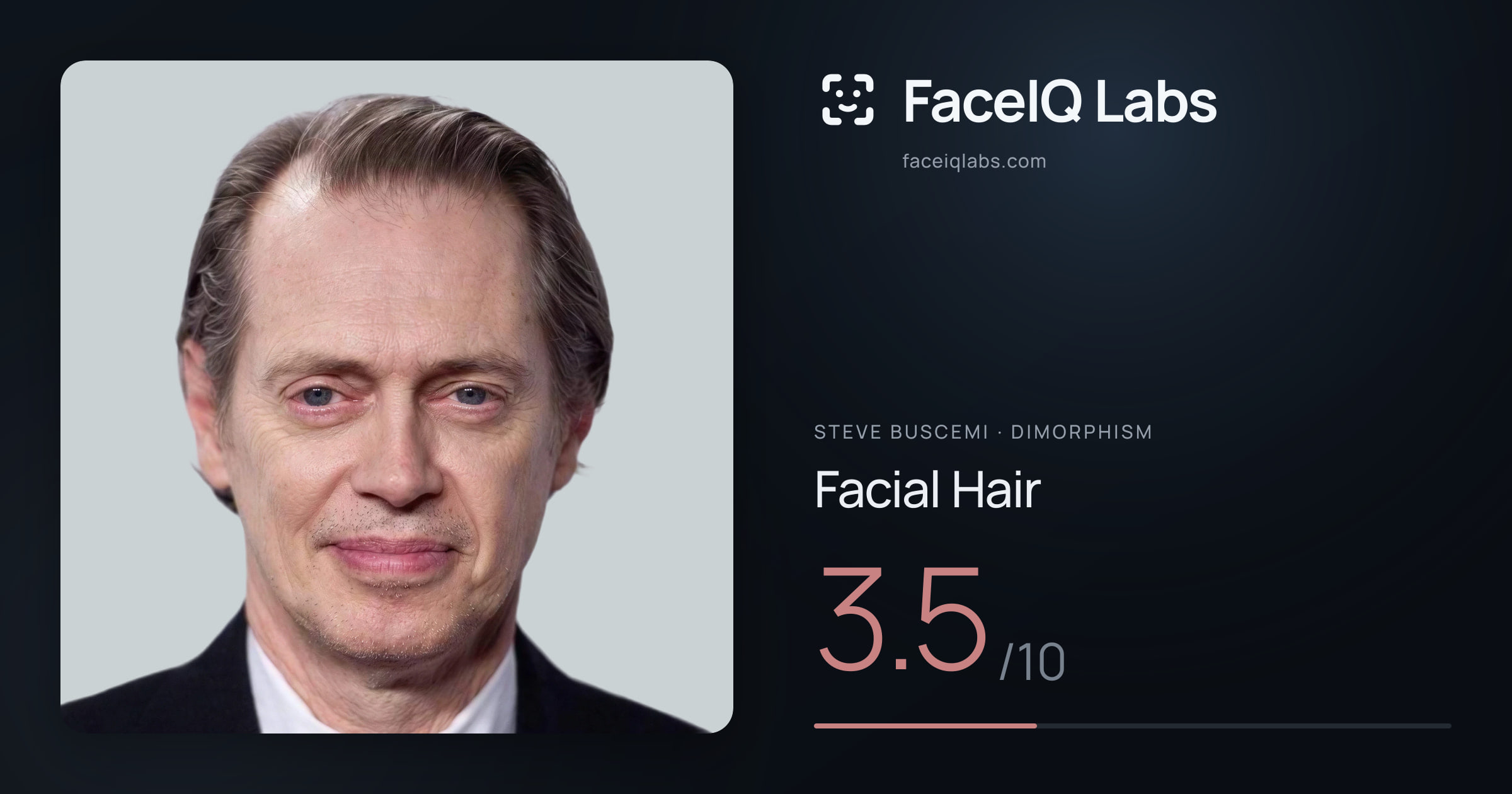 Steve Buscemi Facial Hair: 3.5/10, drawn on the photo
