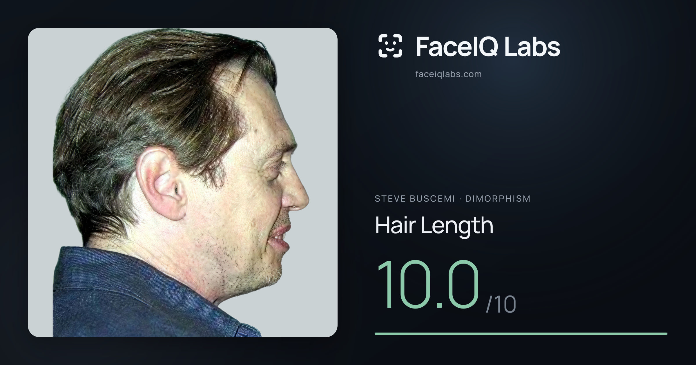 Steve Buscemi Hair Length: 10.0/10, drawn on the photo