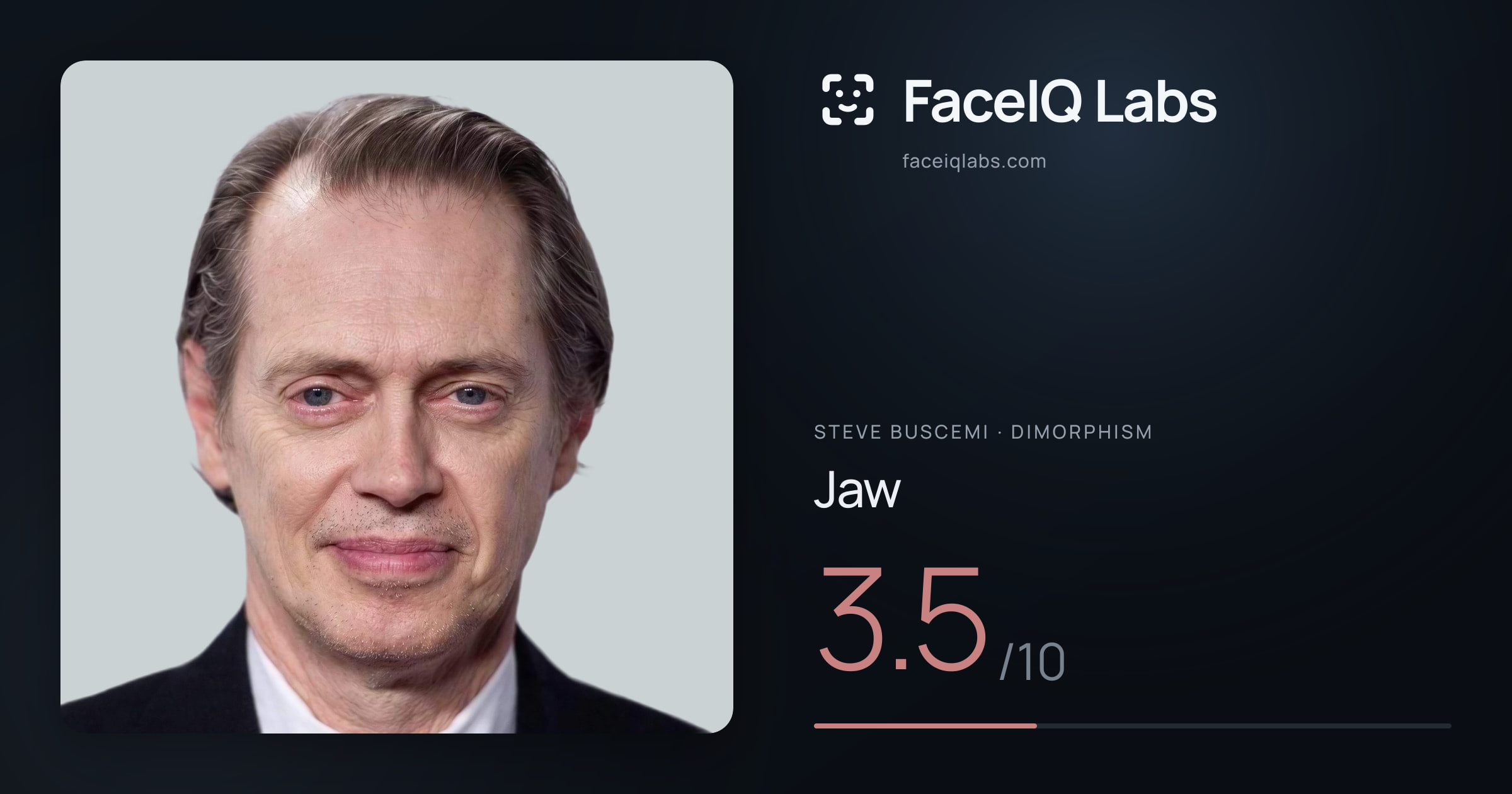 Steve Buscemi Jaw: 3.5/10, drawn on the photo