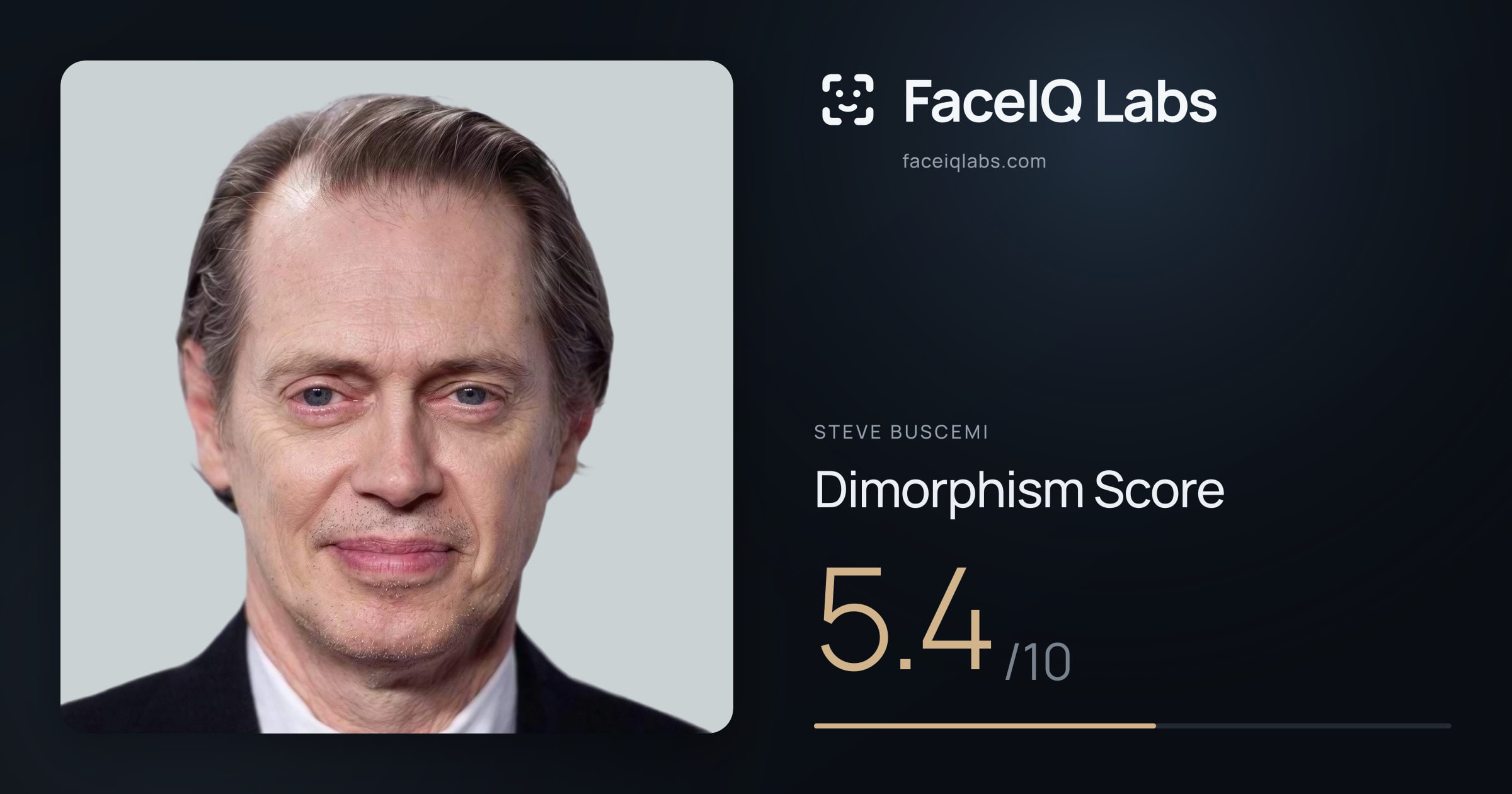 Steve Buscemi Dimorphism: 5.4/10, with each assessment drawn on the photo