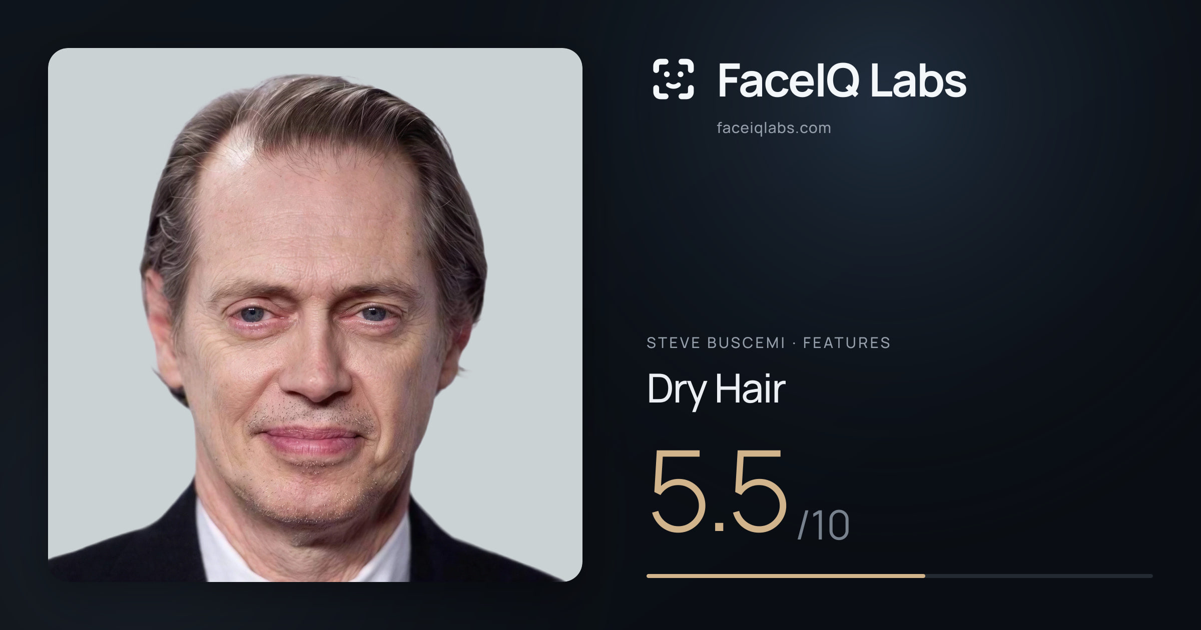 Steve Buscemi Dry Hair: 5.5/10, drawn on the photo