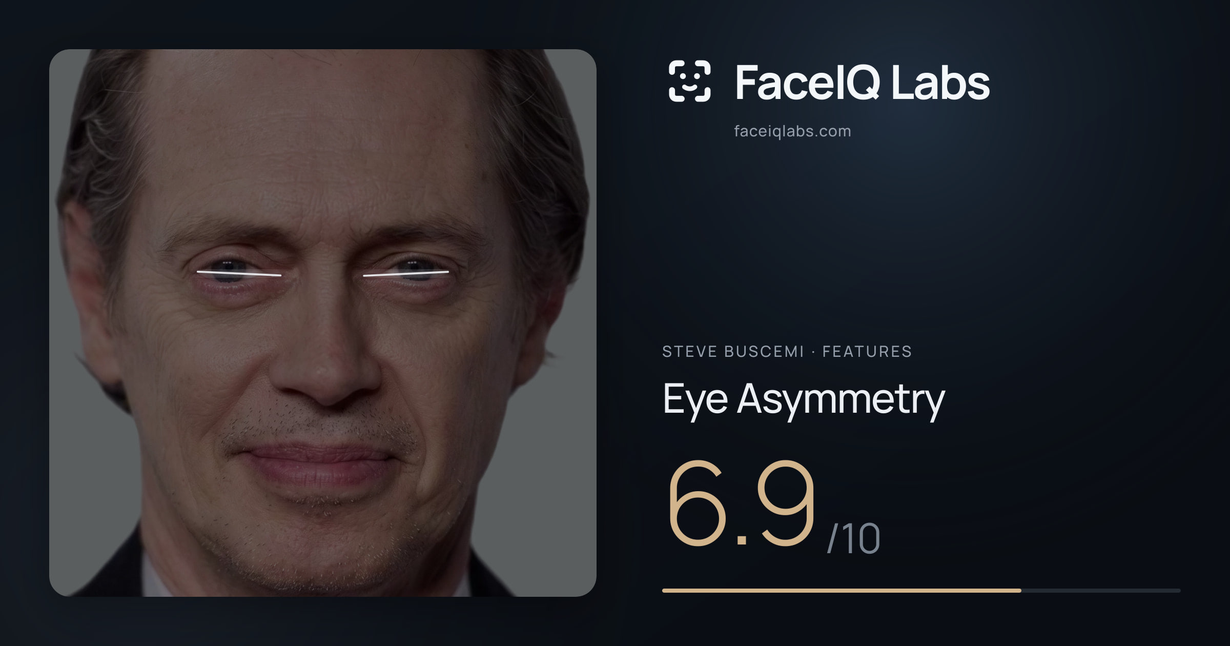 Steve Buscemi Eye Asymmetry: 6.9/10, drawn on the photo