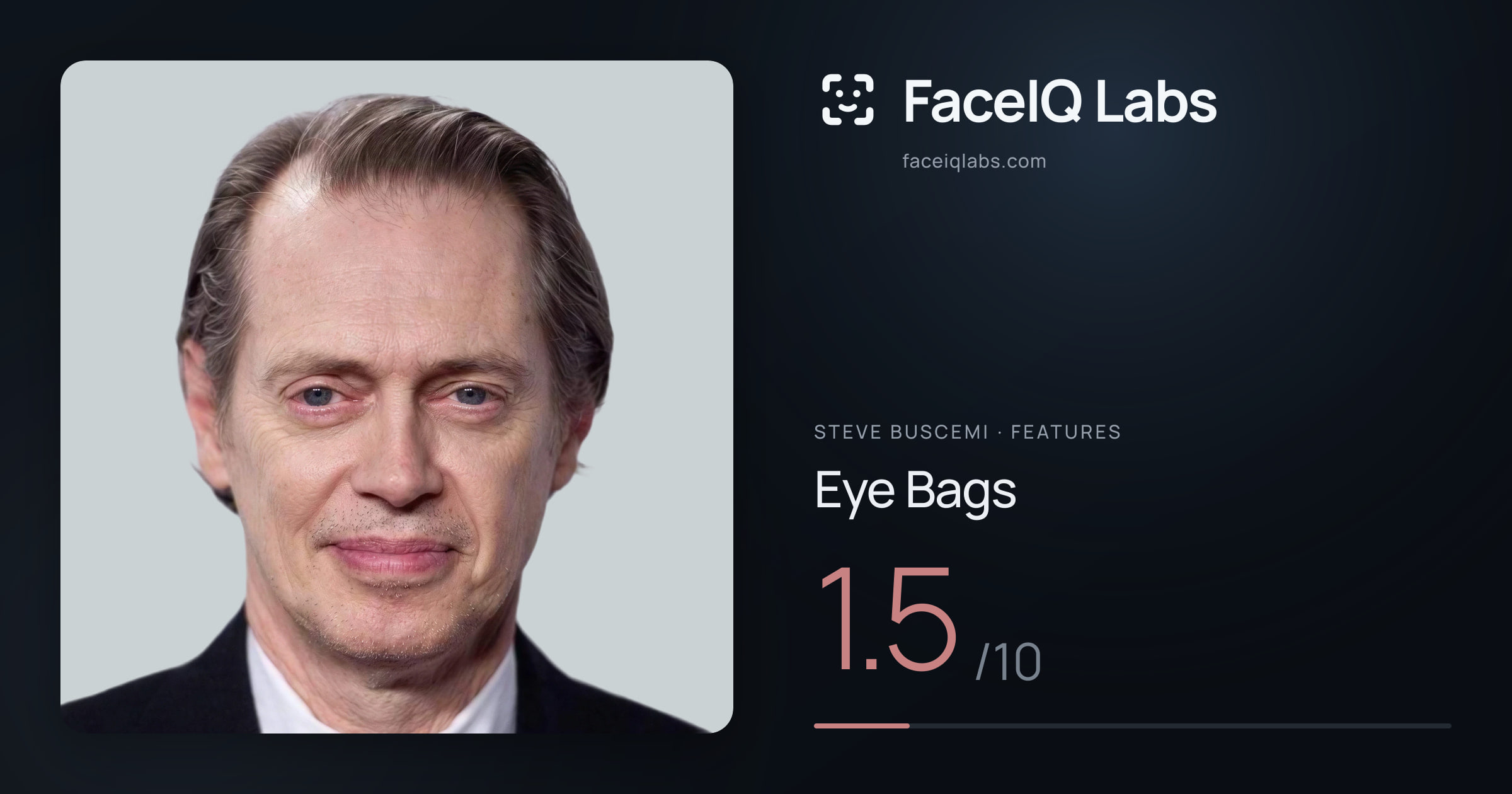 Steve Buscemi Eye Bags: 1.5/10, drawn on the photo