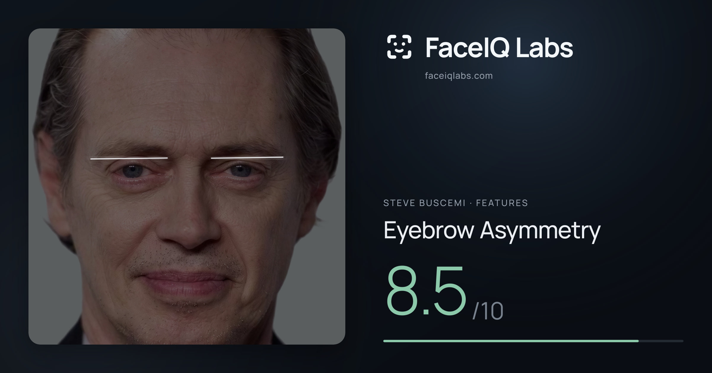 Steve Buscemi Eyebrow Asymmetry: 8.5/10, drawn on the photo