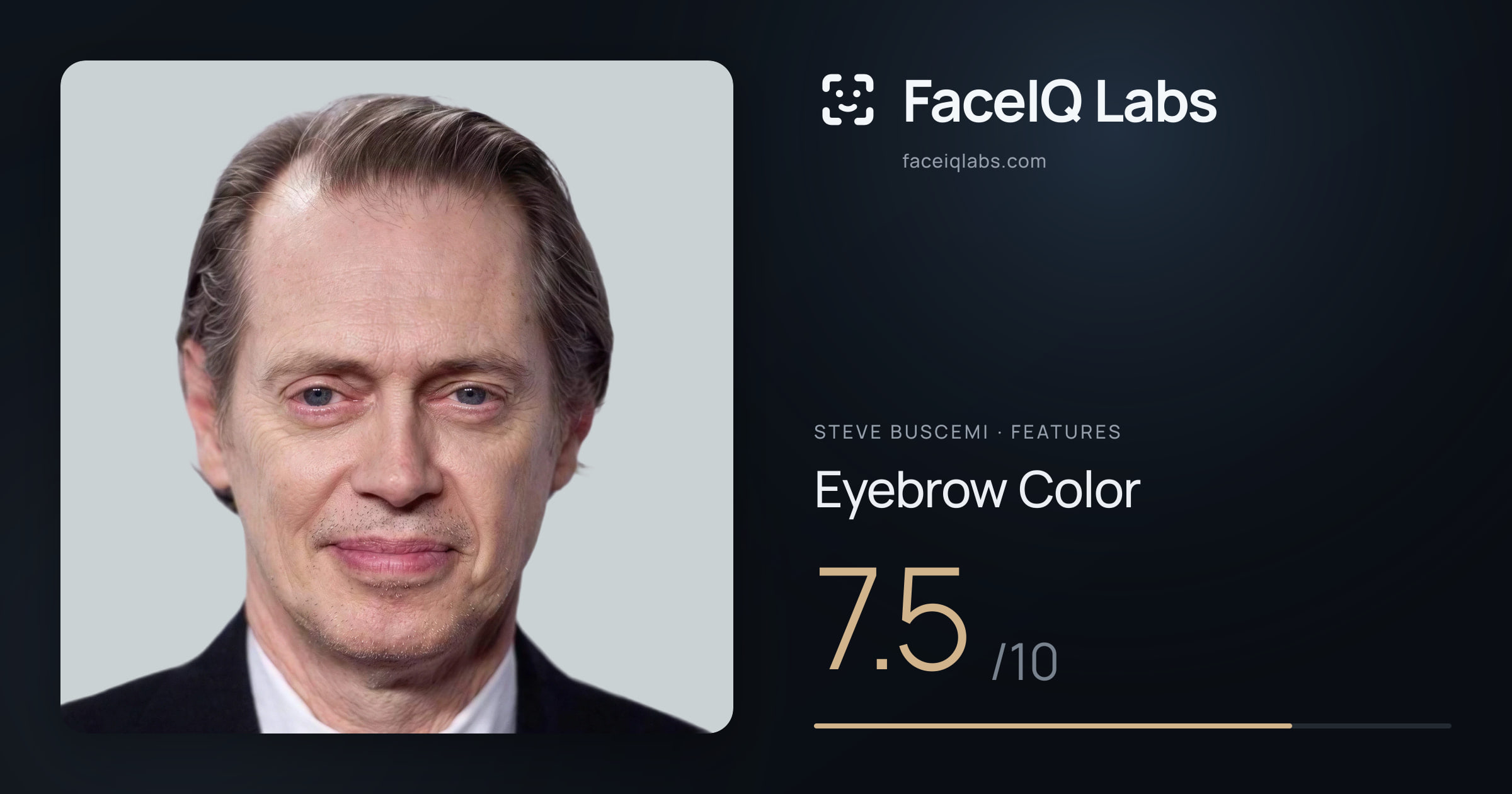 Steve Buscemi Eyebrow Color: 7.5/10, drawn on the photo