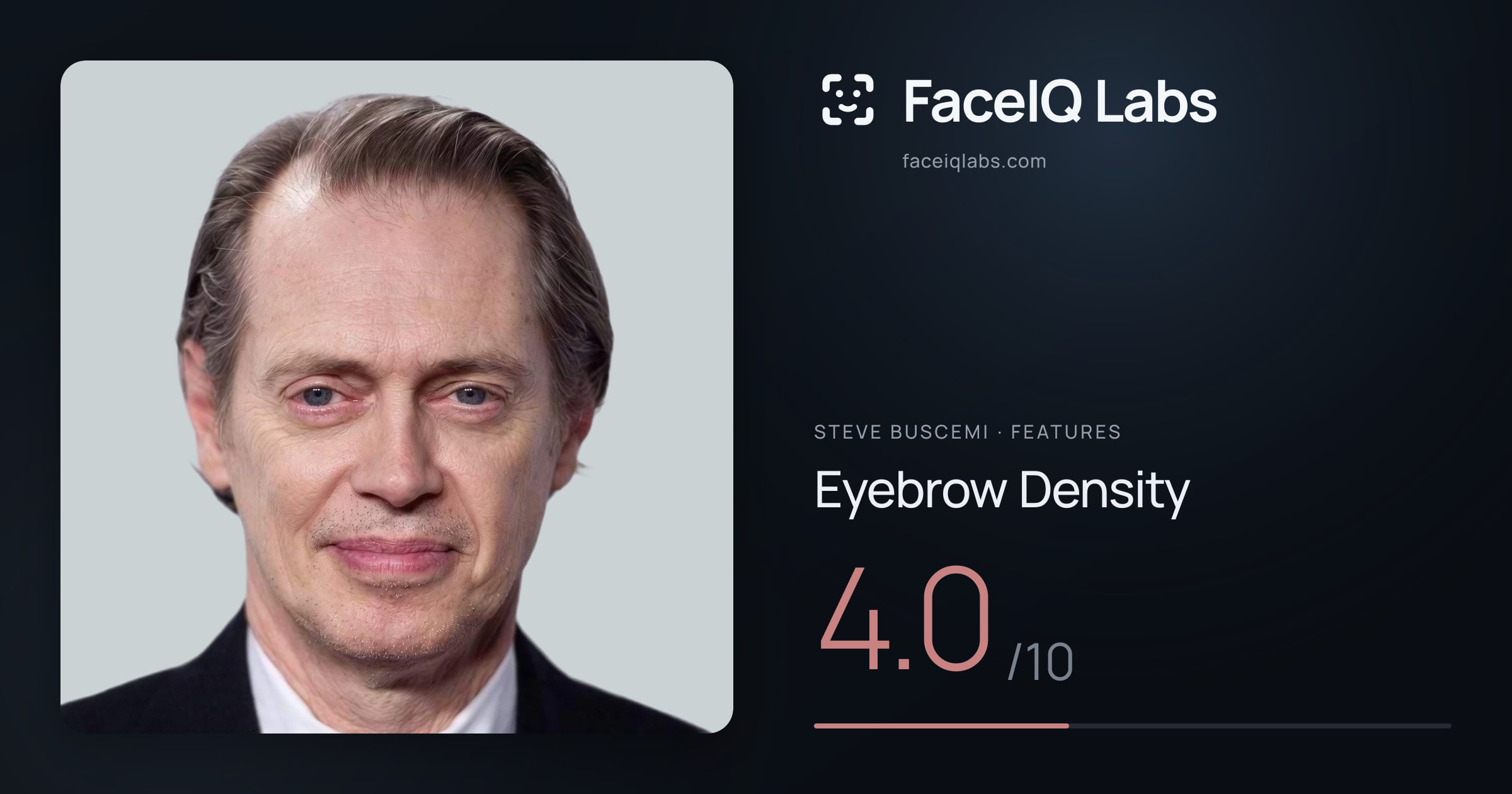 Steve Buscemi Eyebrow Density: 4.0/10, drawn on the photo
